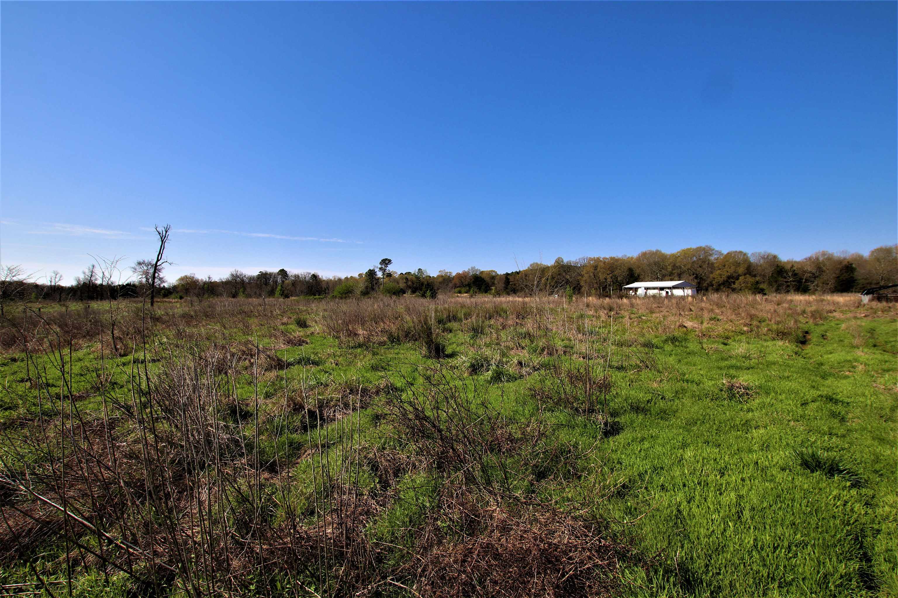 Not in Subdivision - Farm