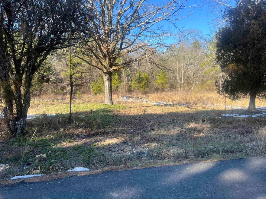 Vacant lot, right on the way to Lake DeGray Lennox Marcus Access. No restrictions on property.  Would make a great homesite or a vacation rental. City water meter is on property but has never been hooked up per Kimzey Water.  Old septic on property. There was a house on this property previously, slab foundation remains. Property being sold as is. Perfect weekend retreat in quiet setting.