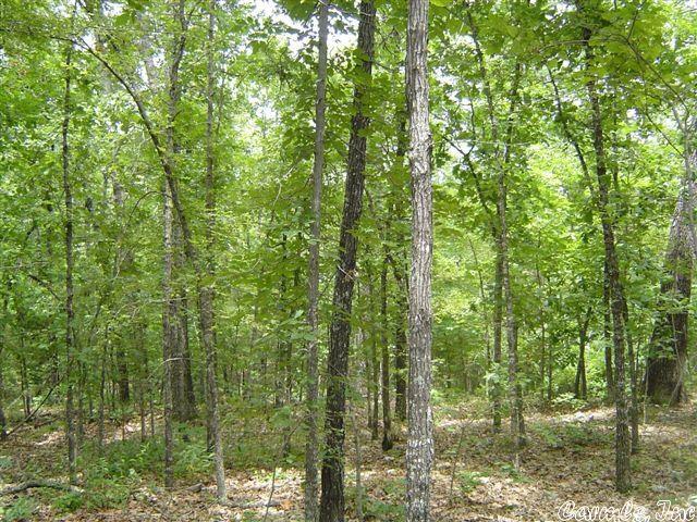 Star of the Sea - Land