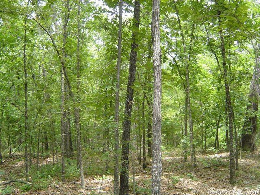 This is a great level lot in Star of the Sea addition in Highland. This lot is locate just a short drive from highway but also offers a quite location. This lot would be great to build on.