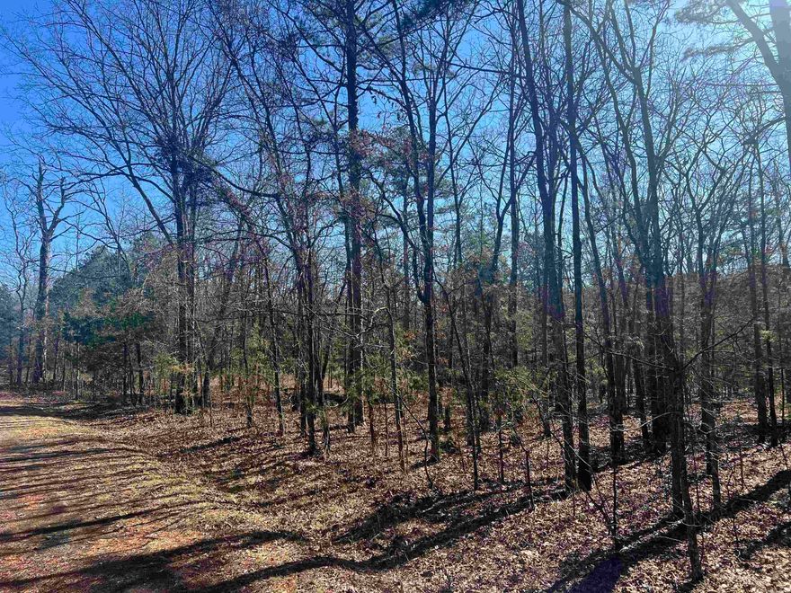 Nice and private, wooded lot just outside of Higden. .69 acre tract, some utilities available at the road. Within a few minutes of Sugarloaf Recreation Park, The Narrows and Millcreek Recreation Park on Greers Ferry Lake.
