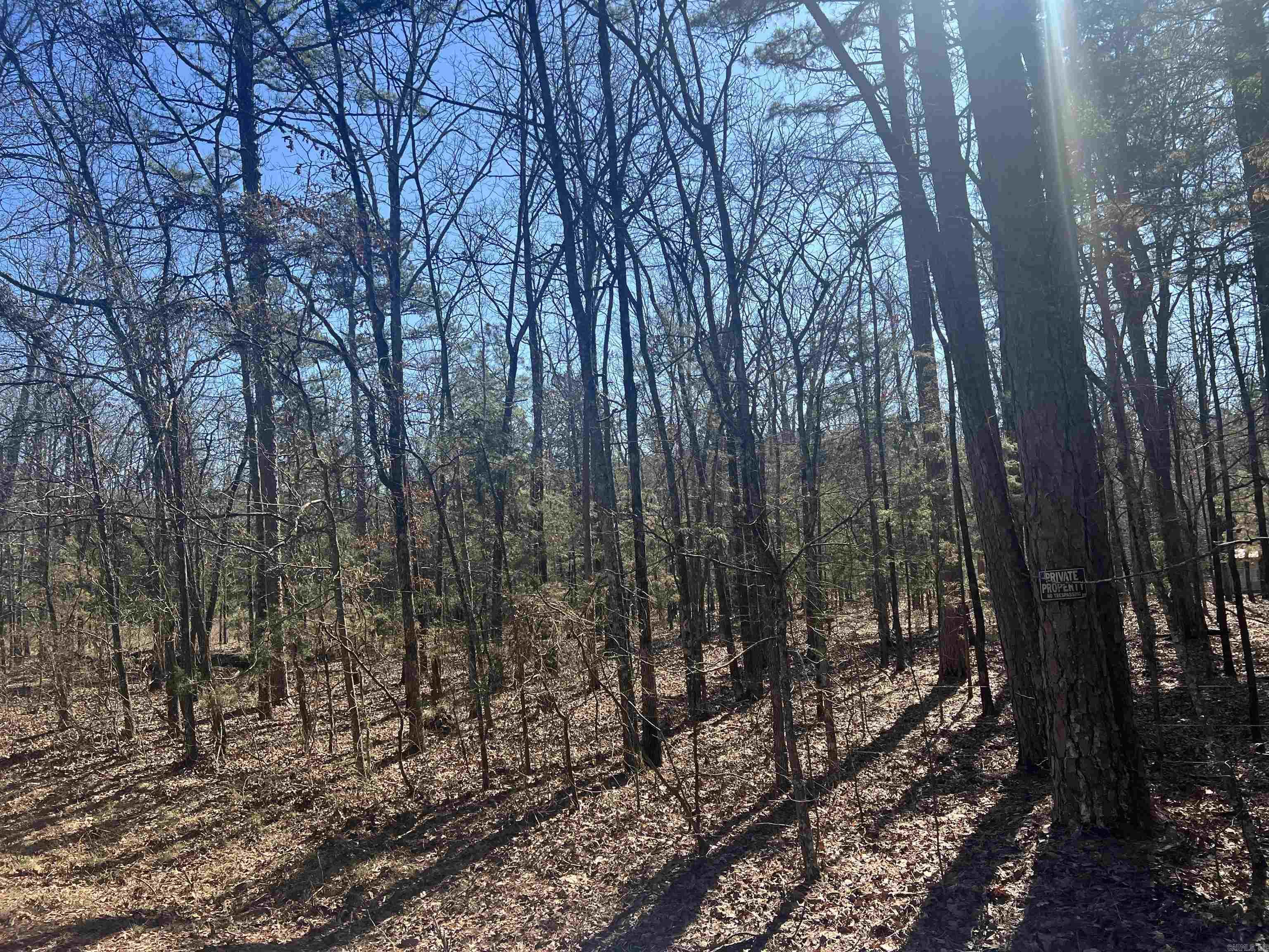 Lakeshore Hills II - Land