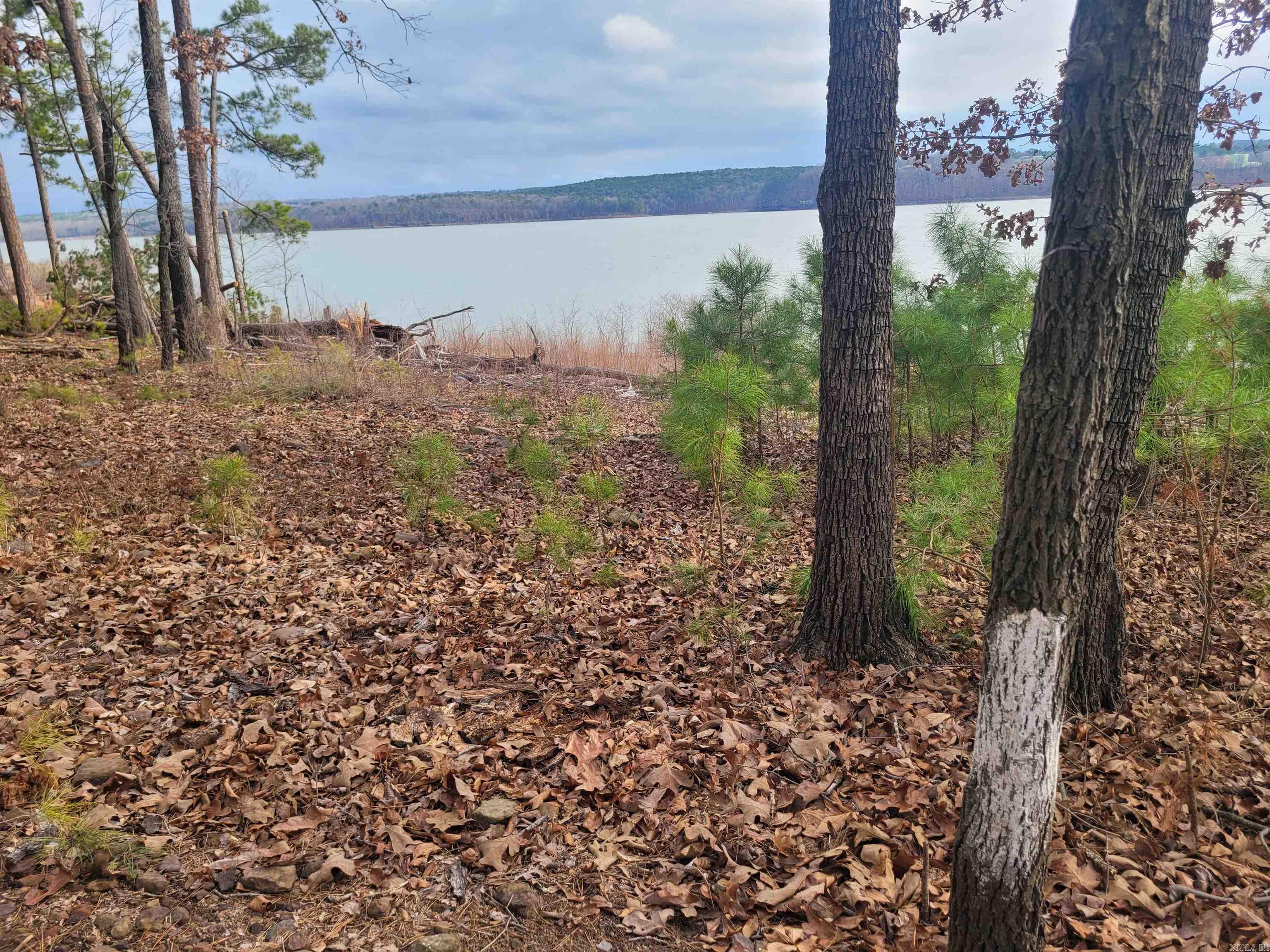 MYSTIC ISLE - Residential