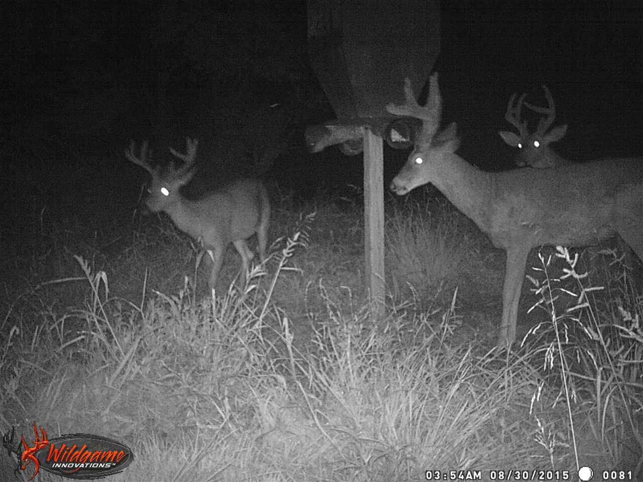 Not in Subdivision - Farm