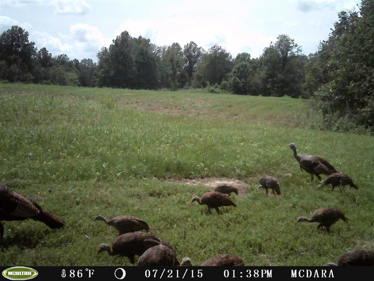 Not in Subdivision - Farm