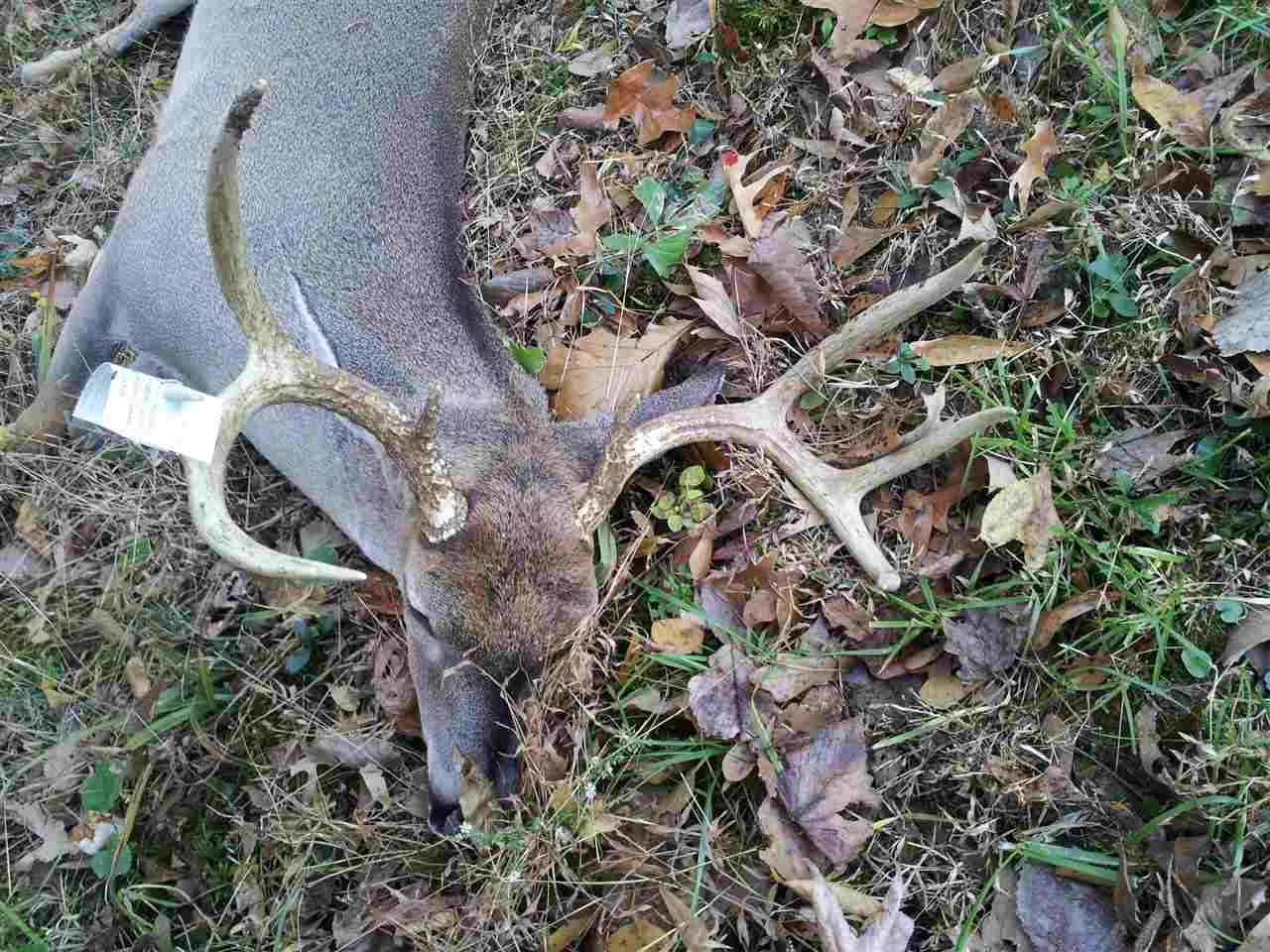 Not in Subdivision - Farm