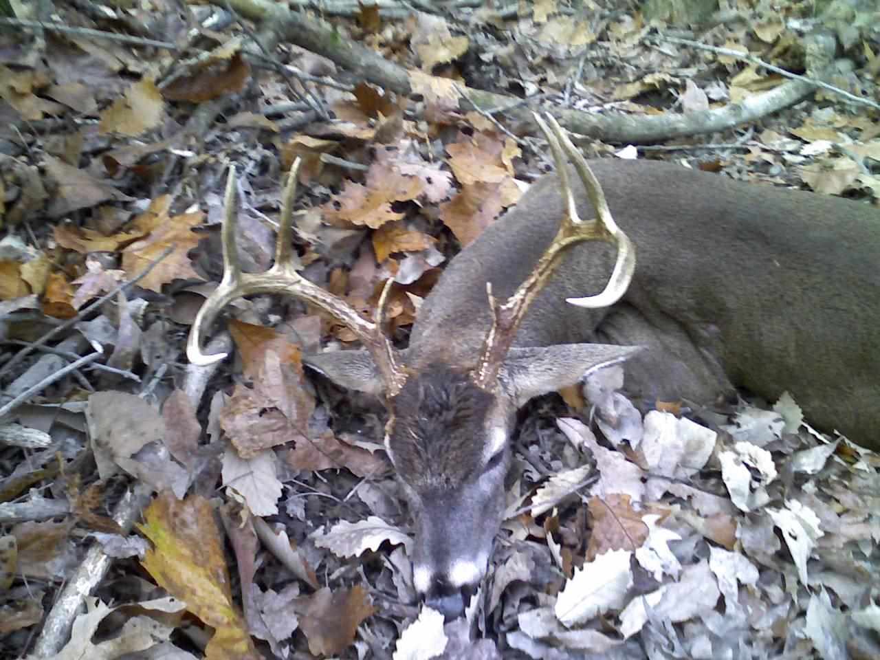 Not in Subdivision - Farm