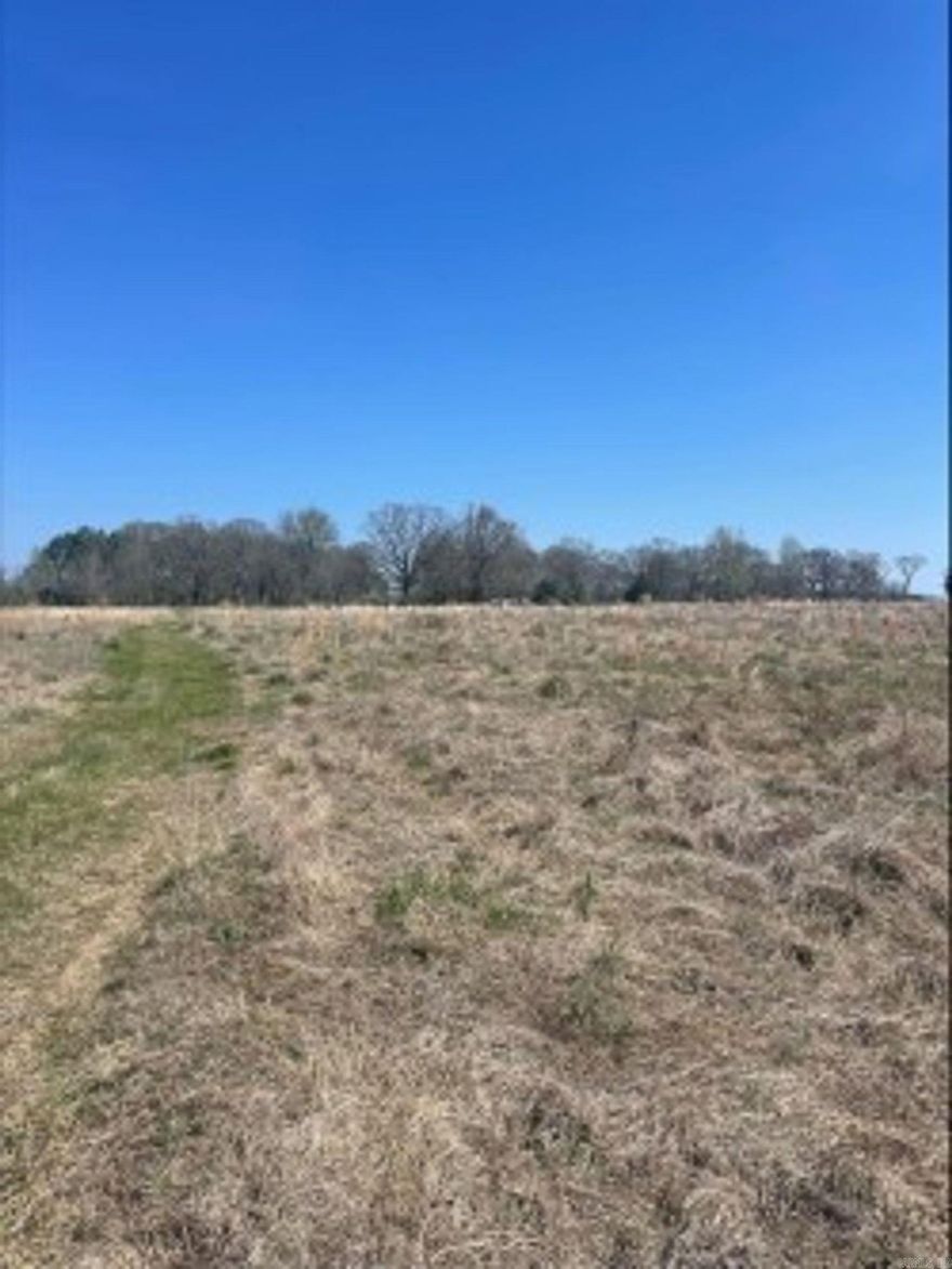 Great piece of property approx. 20 minutes from Cabot.  Property is elevated and well drained except for where the pond is located.  Great for  building, hunting, hay, horses, cattle or whatever you like.  Large tracts like these are becoming more & more scarce.  Must see!