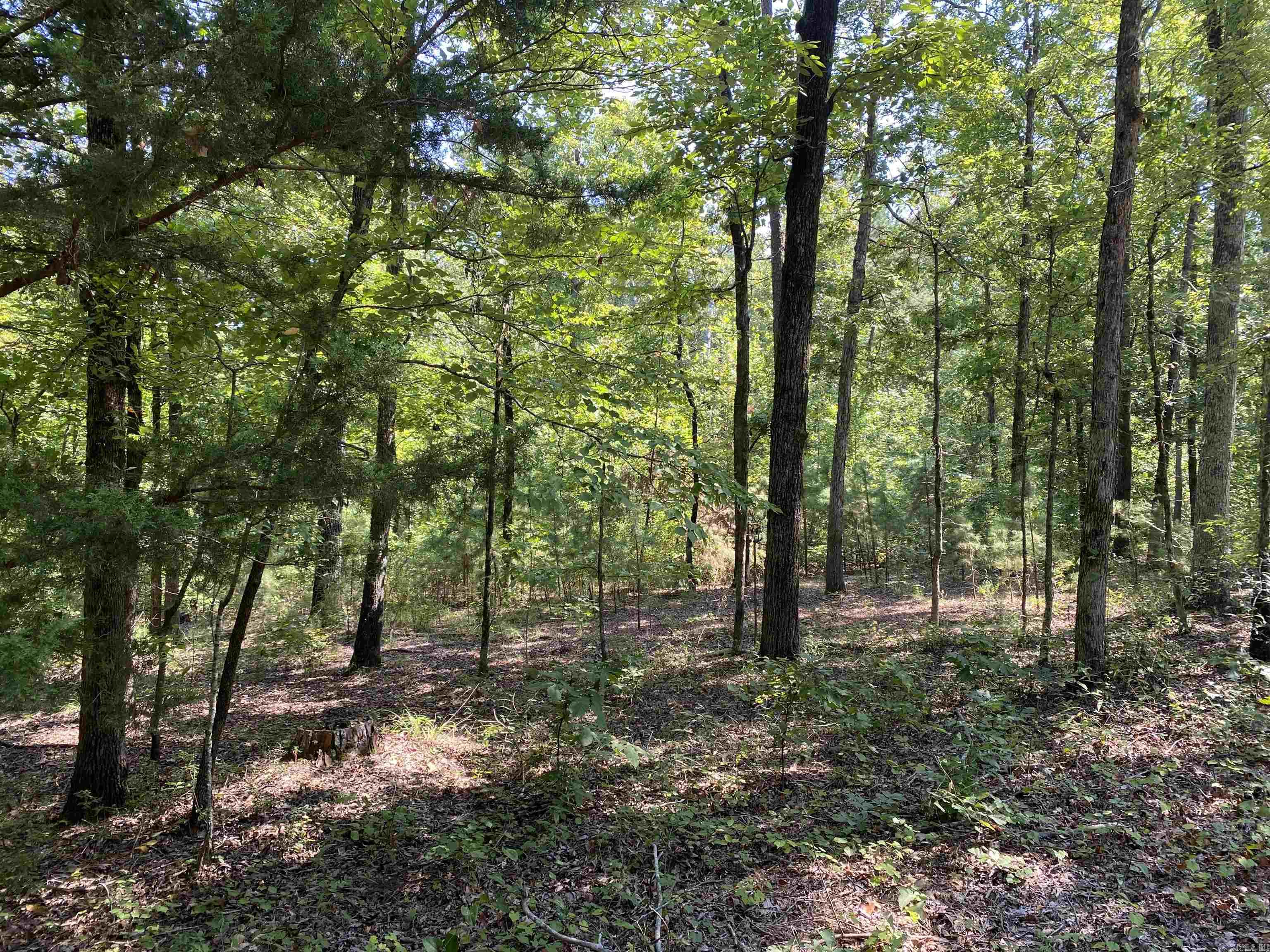 This nicely wooded 4 acre lot located in the Pineview Estates Subdivision offers the perfect spot for building your dream home or weekend getaway. Whether you are into boating on Lake Ouachita, hiking the Vista Trail, crystal digging or anything outdoors this property is just a short drive to all AND it is conveniently located being just minutes to Mount Ida. Don't wait, call today!