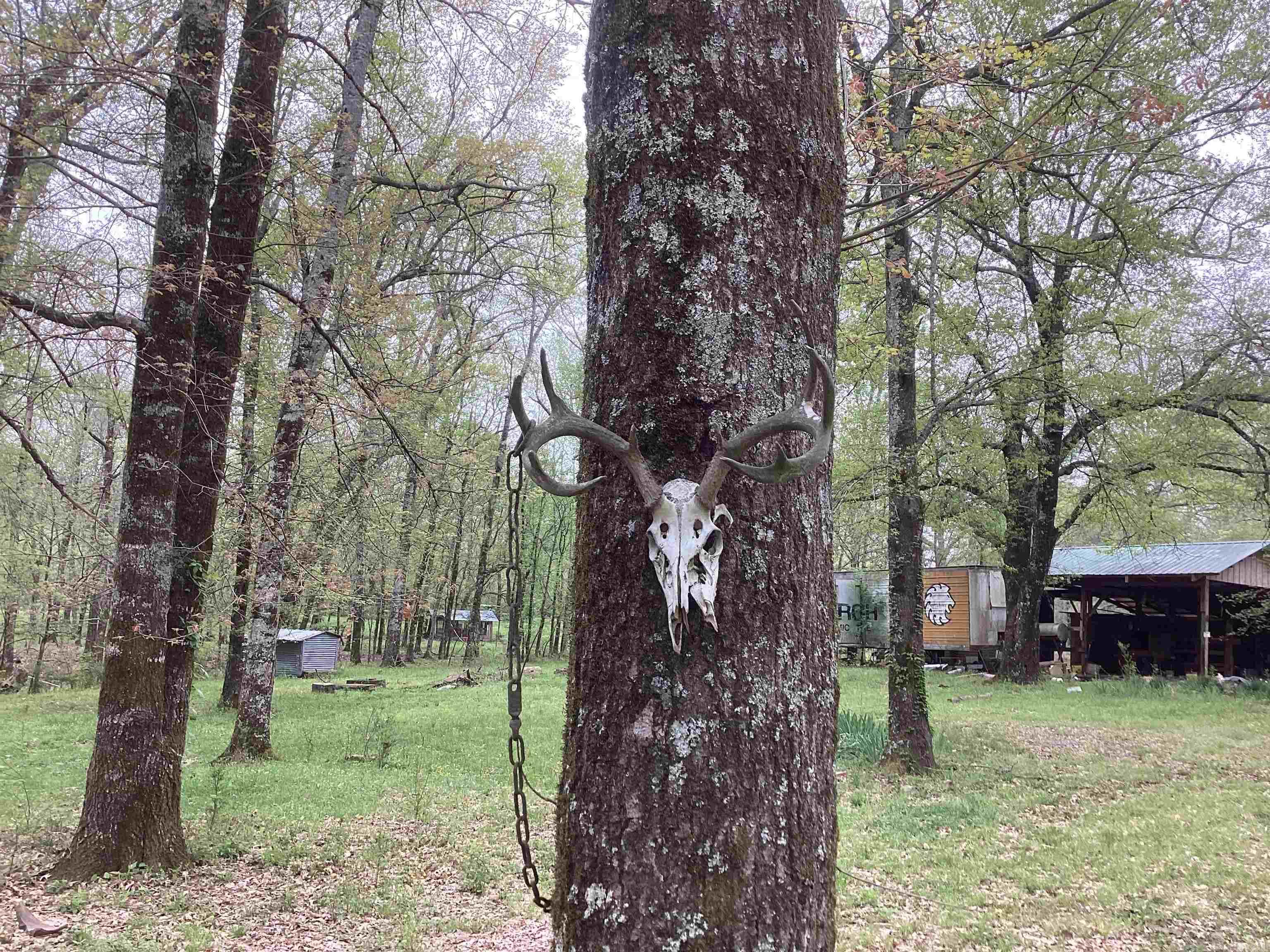 Metes & Bounds - Land