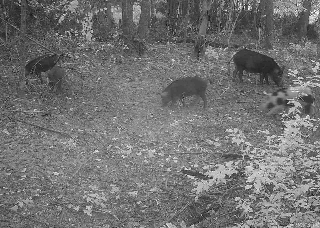 Metes & Bounds - Land