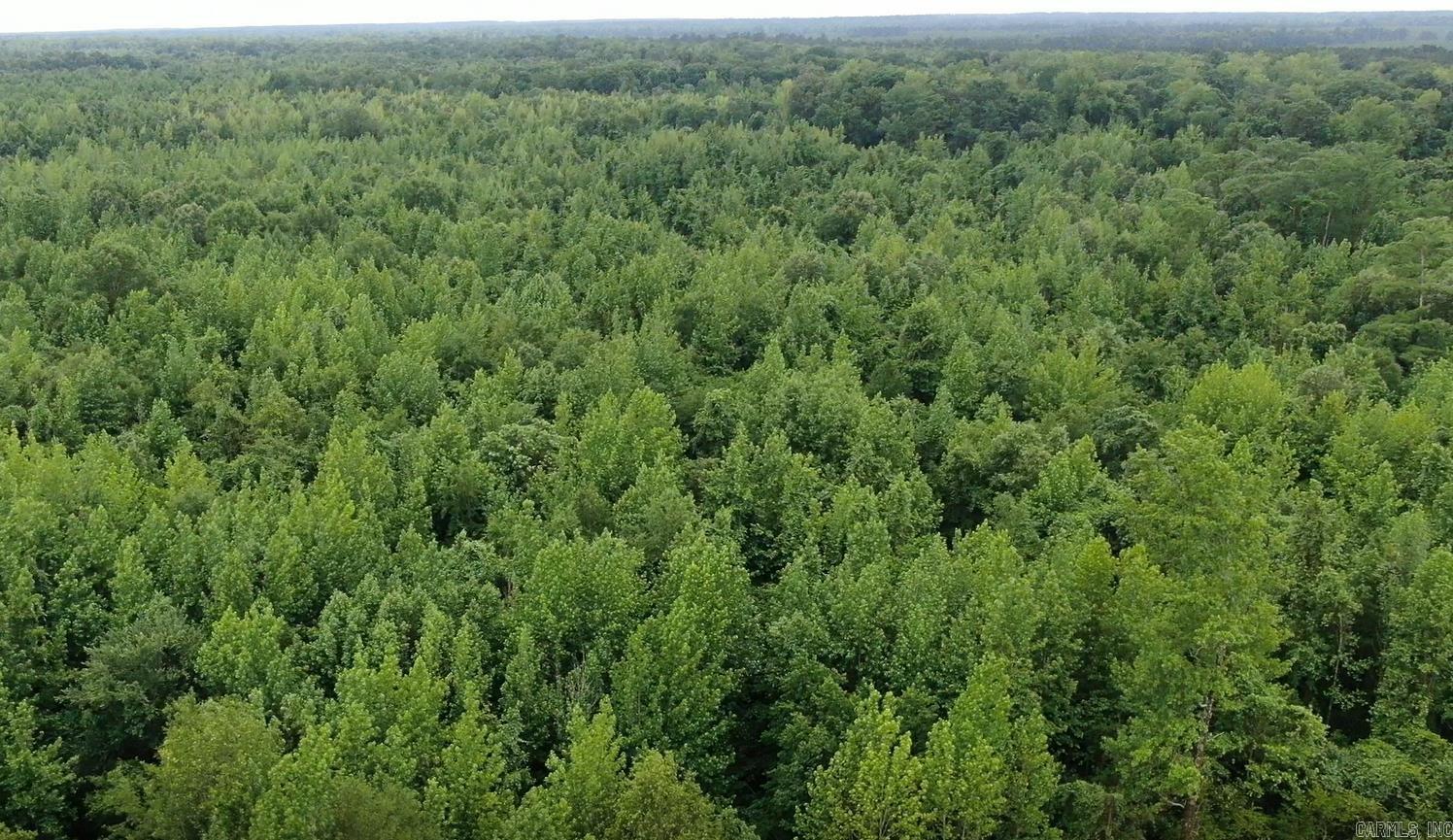 40 acres of prime hunting land in Cleveland County, Arkansas. Located just 2 miles east of Rowell, this 40 acre property offers a unique opportunity for hunters and outdoor enthusiasts. Nestled behind a locked gate with direct county road access, the land features a 20 year old mixed stand of timber and borders Hudgins Creek a beautiful natural setting with seasonal water flow. This property does flood during heavy and continuous rains, but offers excellent deer and hog hunting potential.