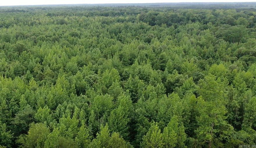 40 acres of prime hunting land in Cleveland County, Arkansas. Located just 2 miles east of Rowell, this 40 acre property offers a unique opportunity for hunters and outdoor enthusiasts. Nestled behind a locked gate with direct county road access, the land features a 20 year old mixed stand of timber and borders Hudgins Creek a beautiful natural setting with seasonal water flow. This property does flood during heavy and continuous rains, but offers excellent deer and hog hunting potential.