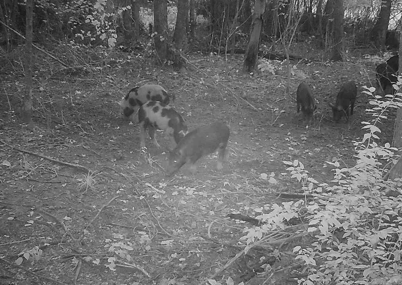 Metes & Bounds - Land