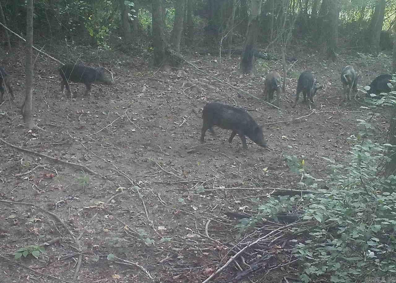 Metes & Bounds - Land