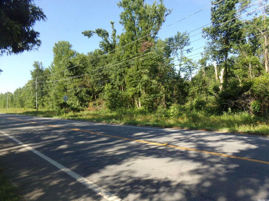 Need acreage to build dream home? 21.5 Acres not far from Cabot City Limits. Heavily wooded for privacy, located near Red Oak Airpark. Approx 665 ft frontage on Hwy 89.