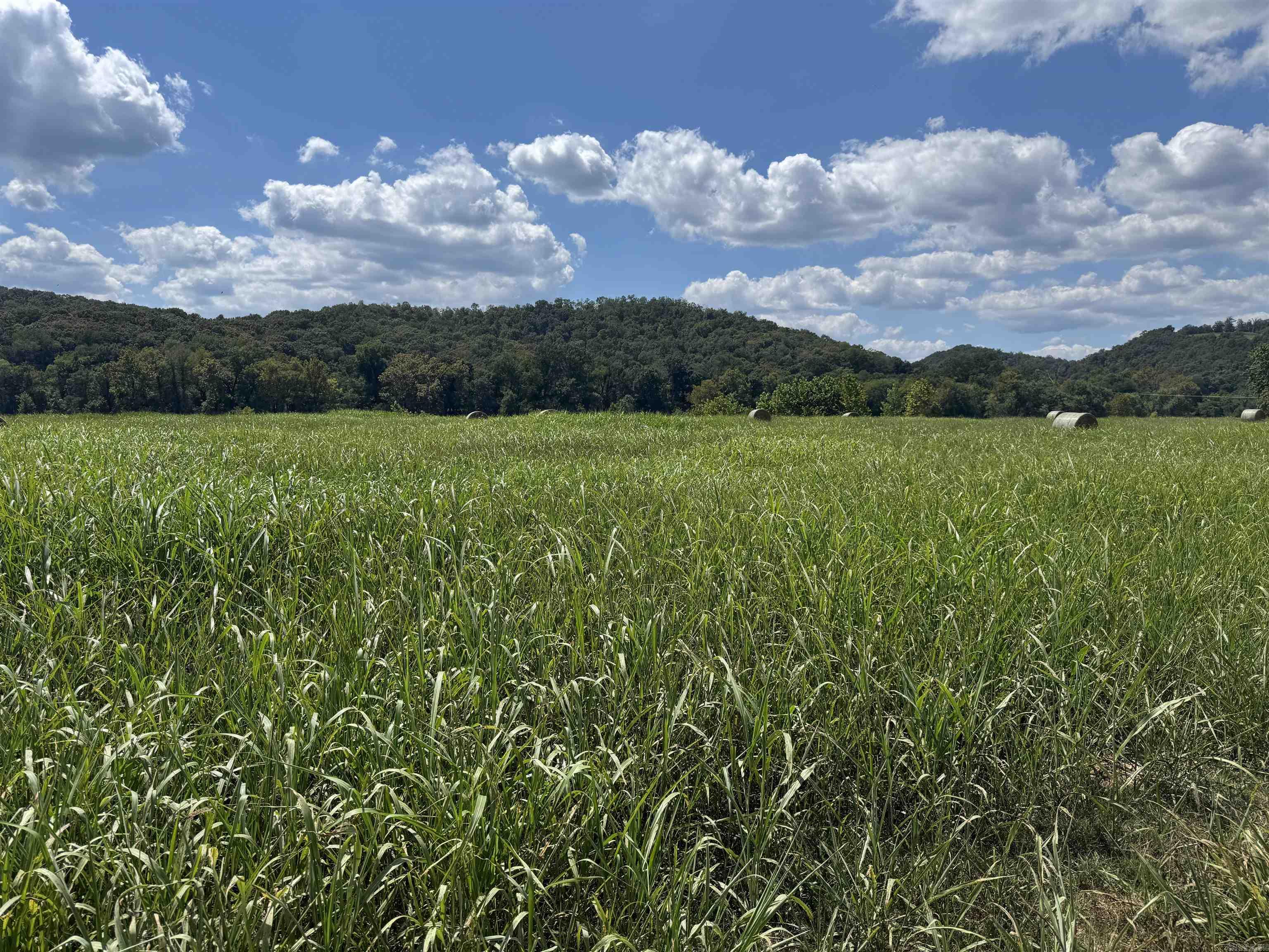 White River Run - Land