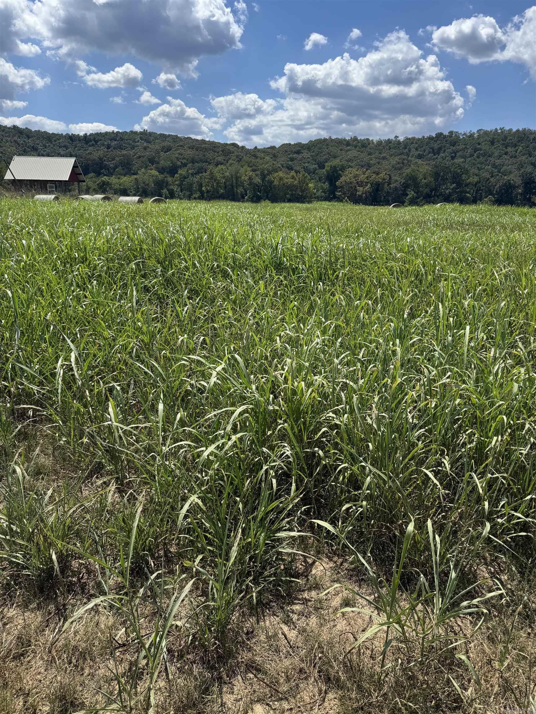 White River Run - Land