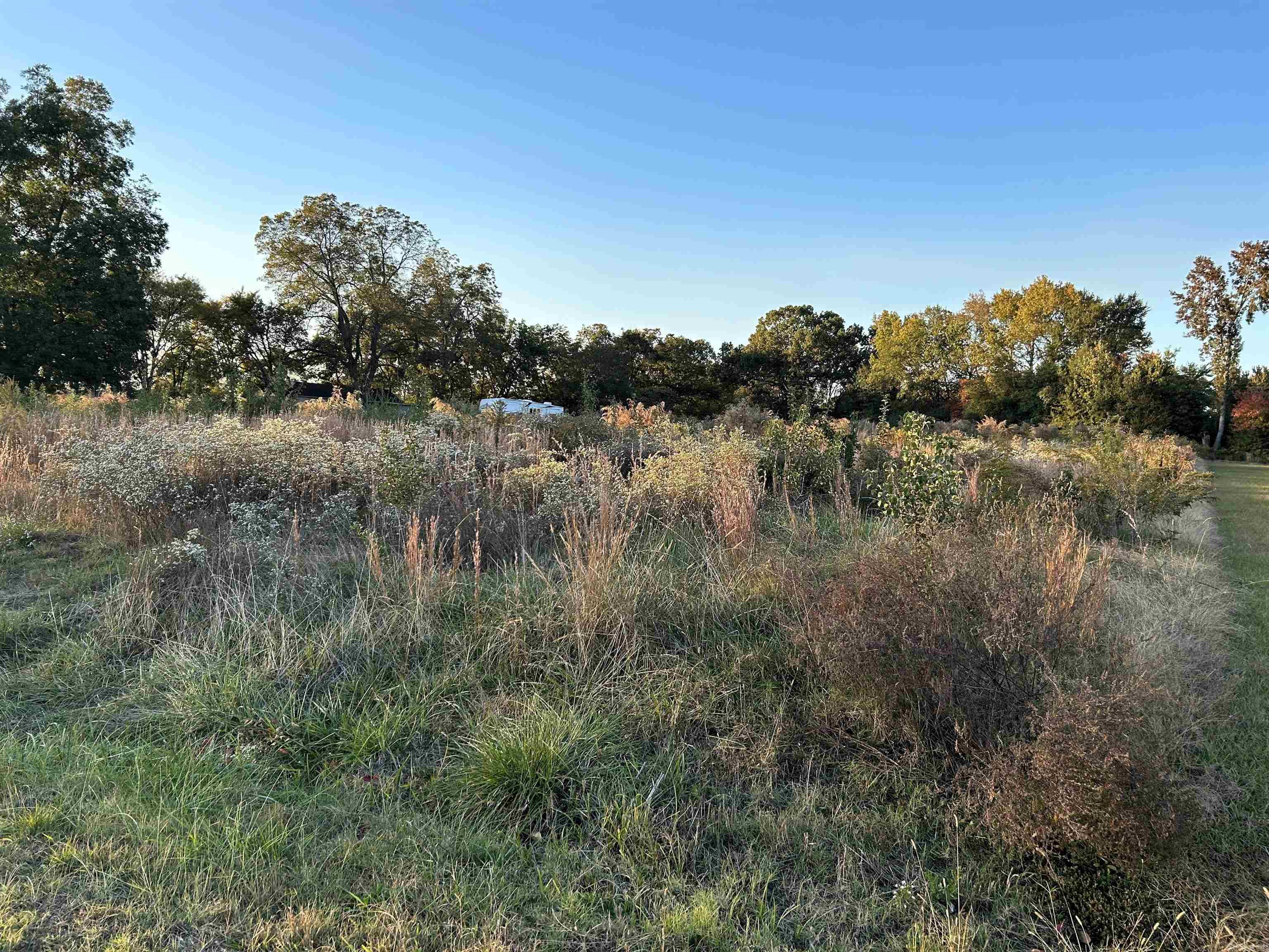 Nice level lot. Beautiful land within Beebe city limits and city utilities. Land is open with beautiful pecan trees boarding the property. This is a perfect chance for you to build your dream home! No restrictions found through a title search.