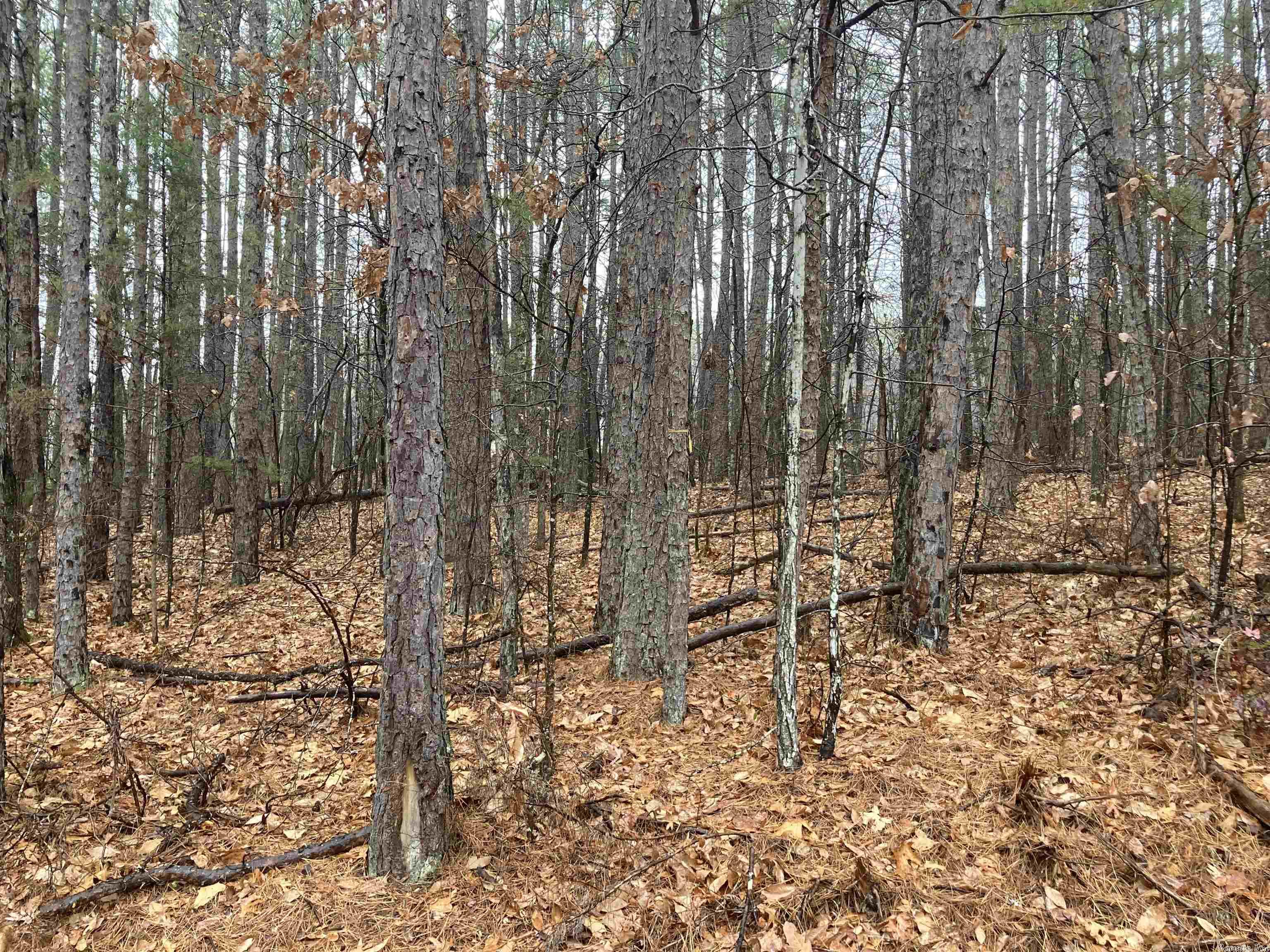 Mountain Ranch - Land