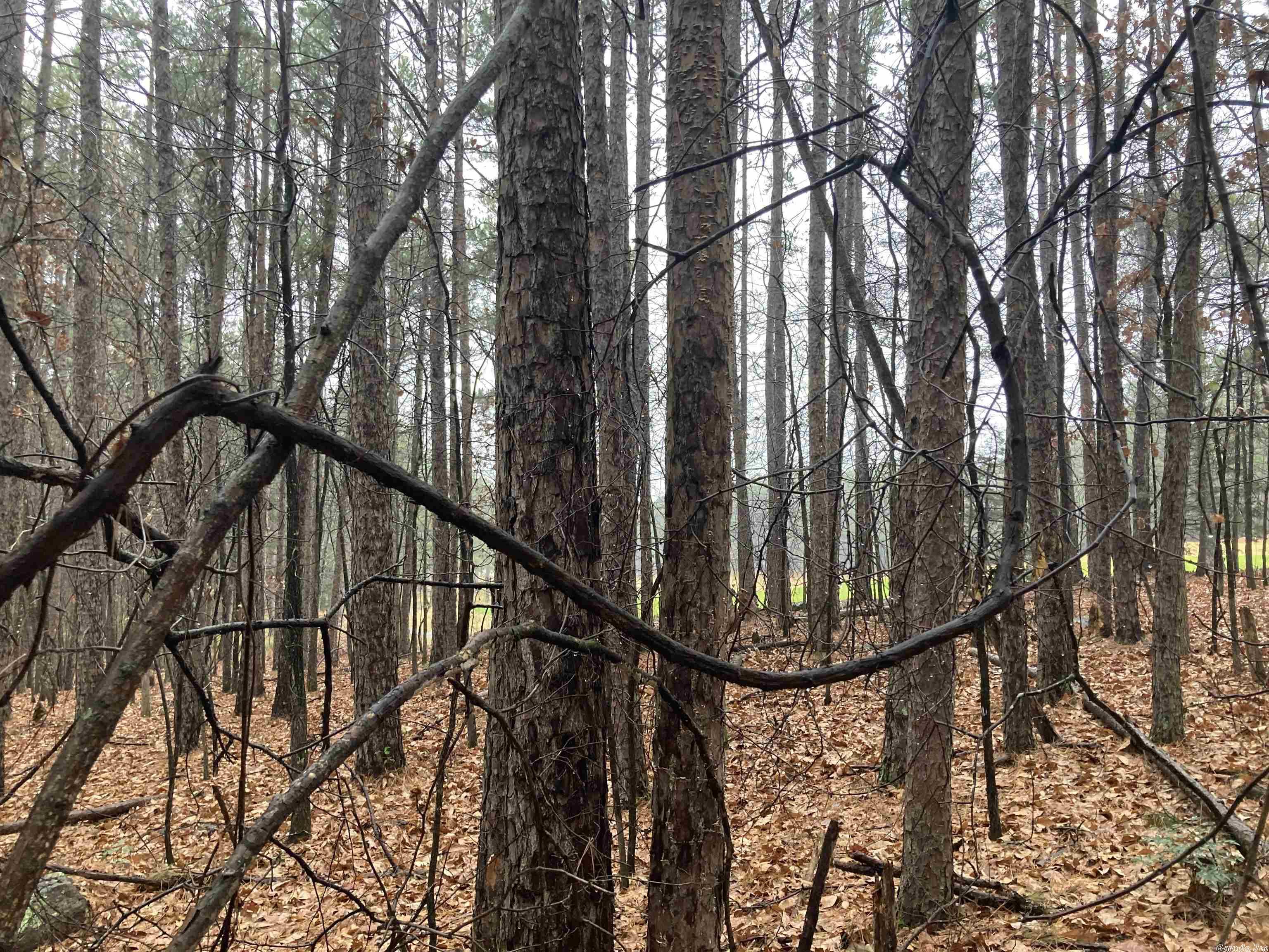 Mountain Ranch - Land