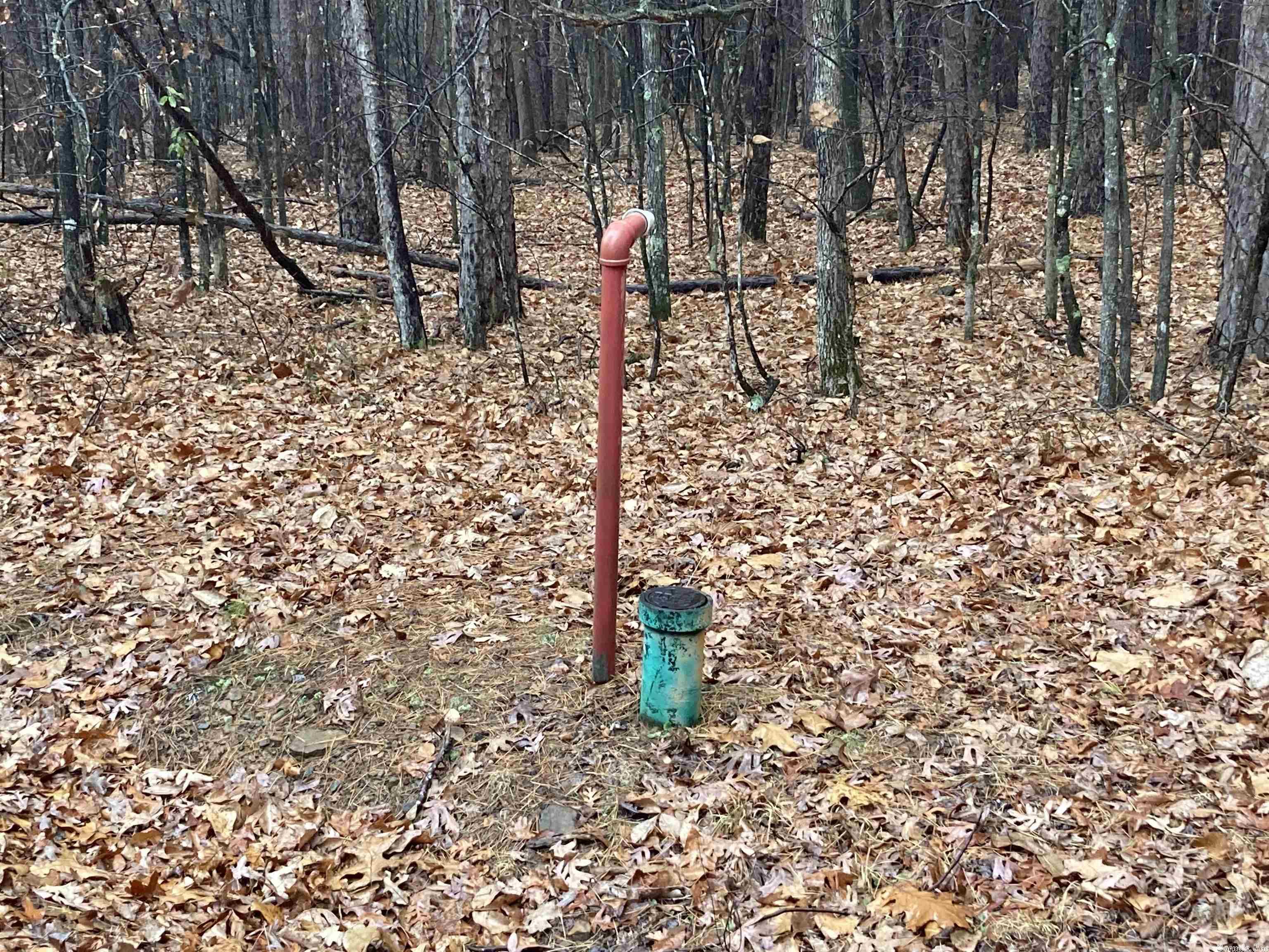 Mountain Ranch - Land