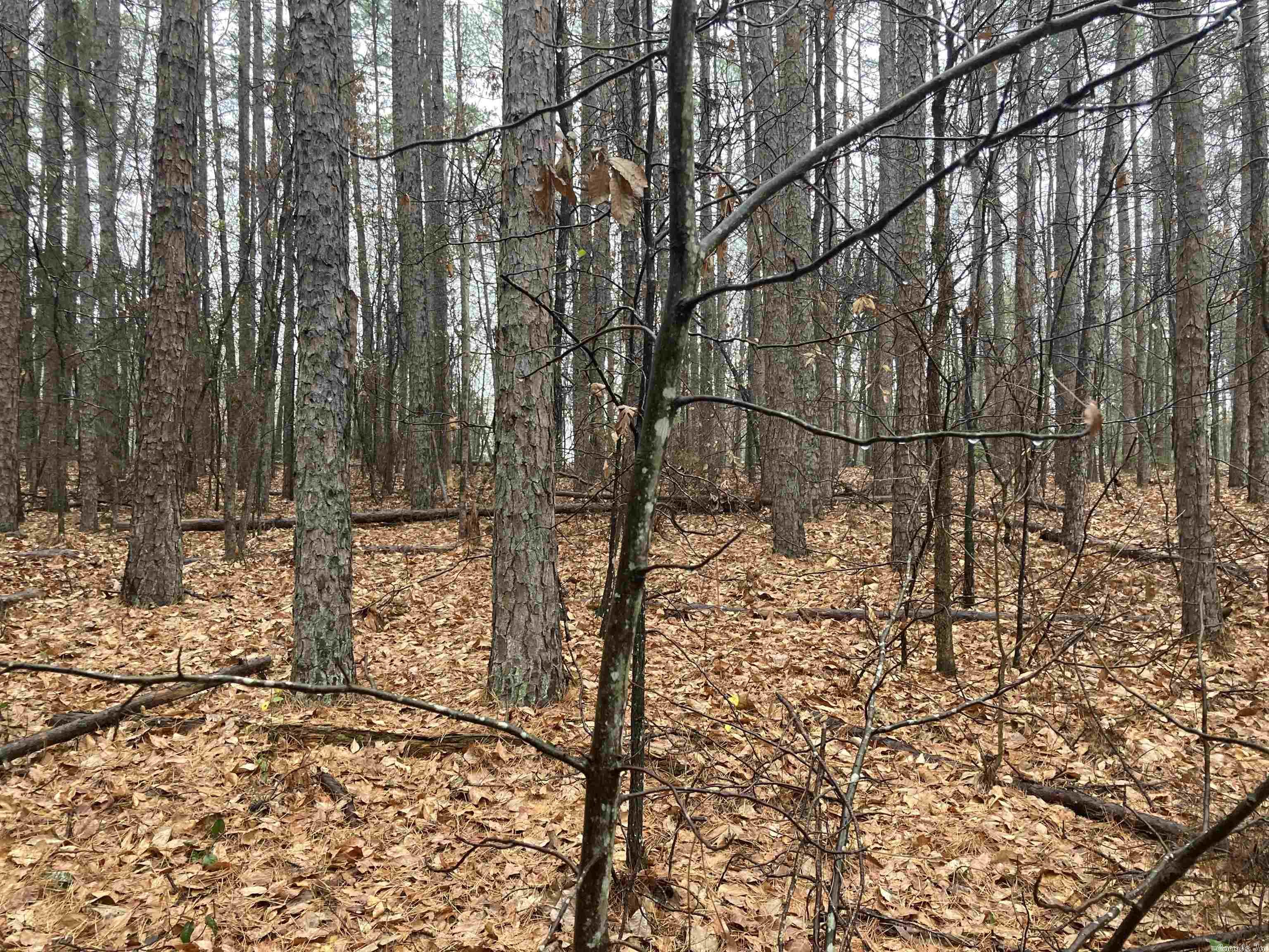 Mountain Ranch - Land