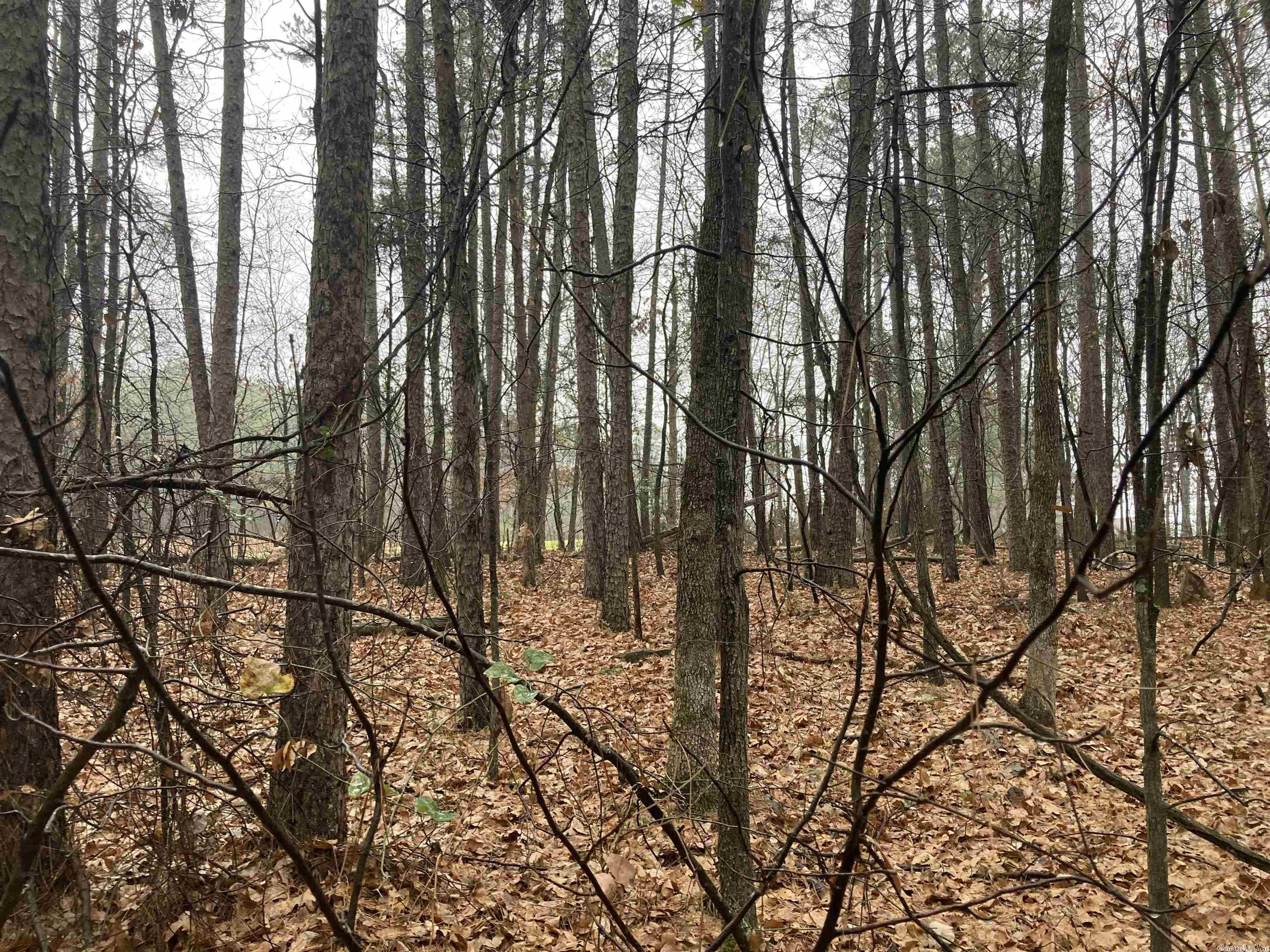 Mountain Ranch - Land