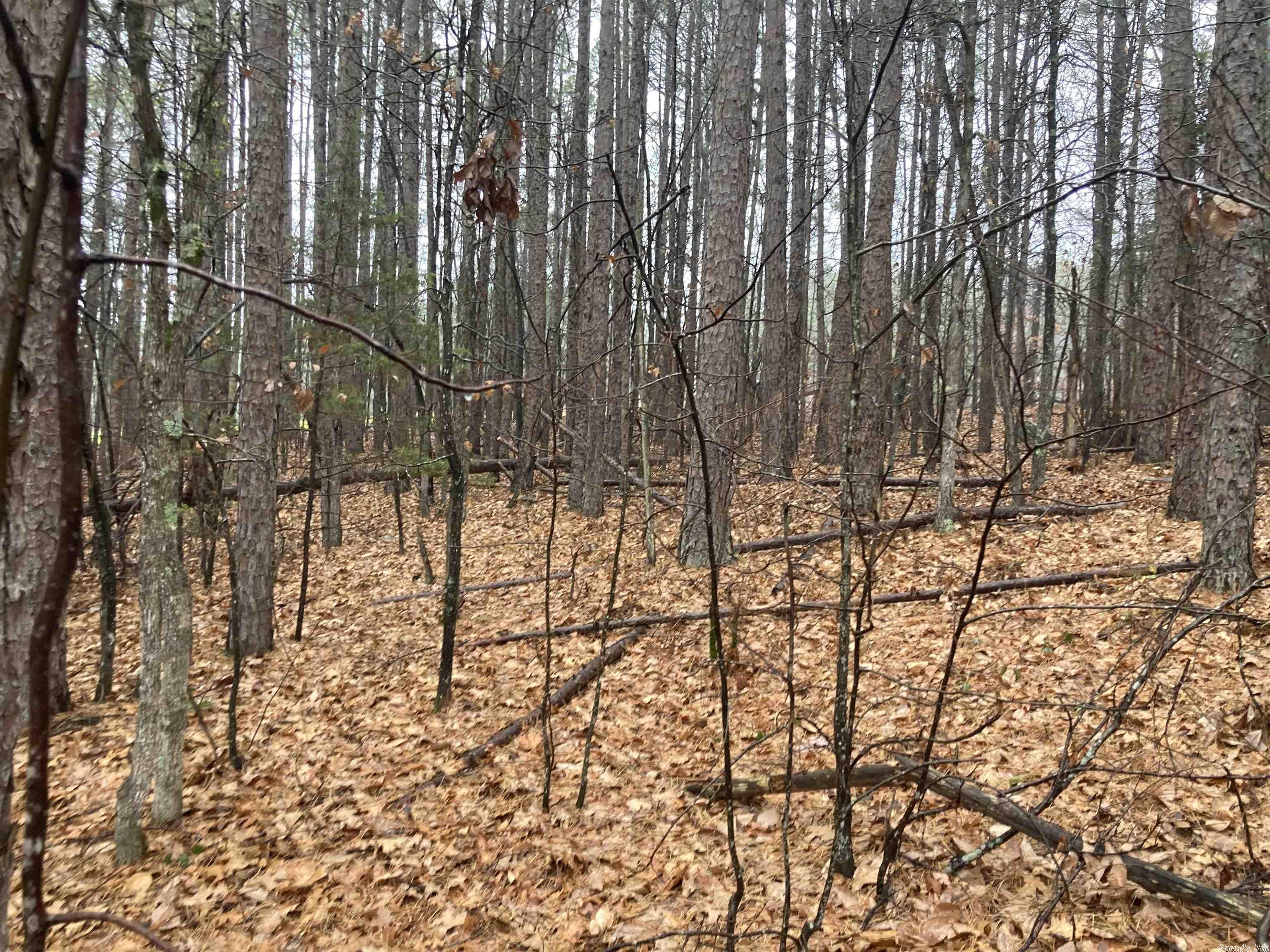 Mountain Ranch - Land