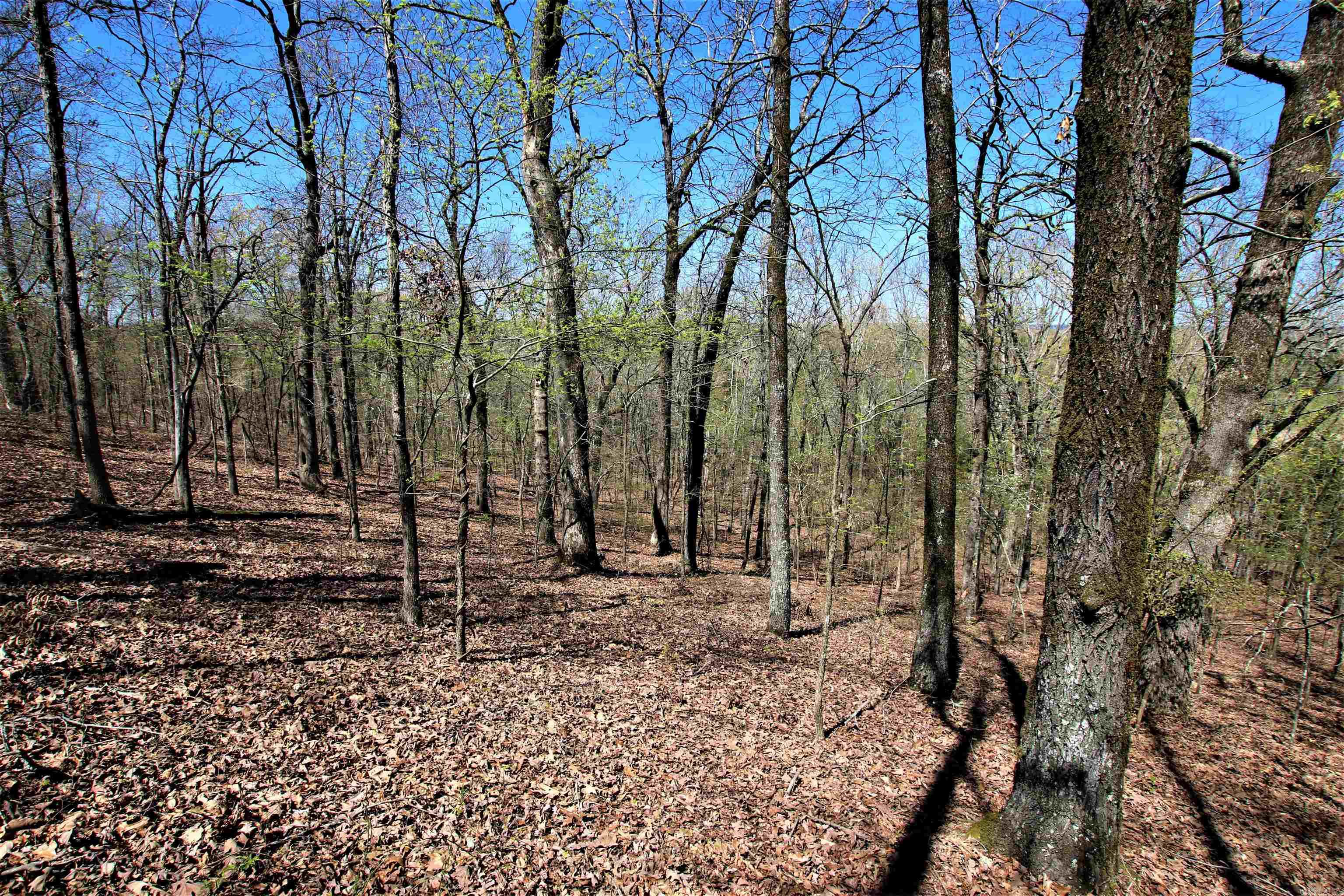 Not in Subdivision - Land