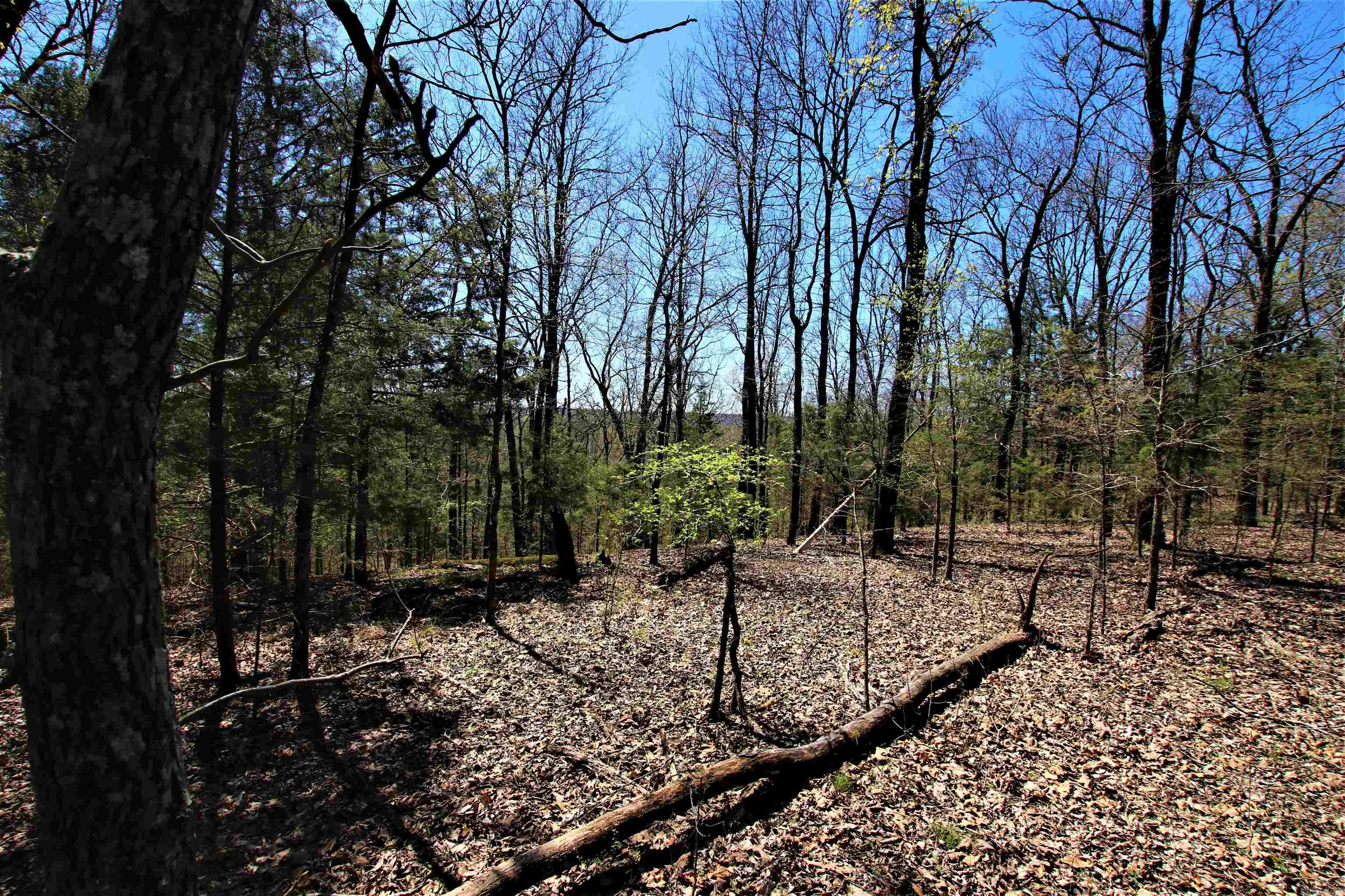 Not in Subdivision - Land