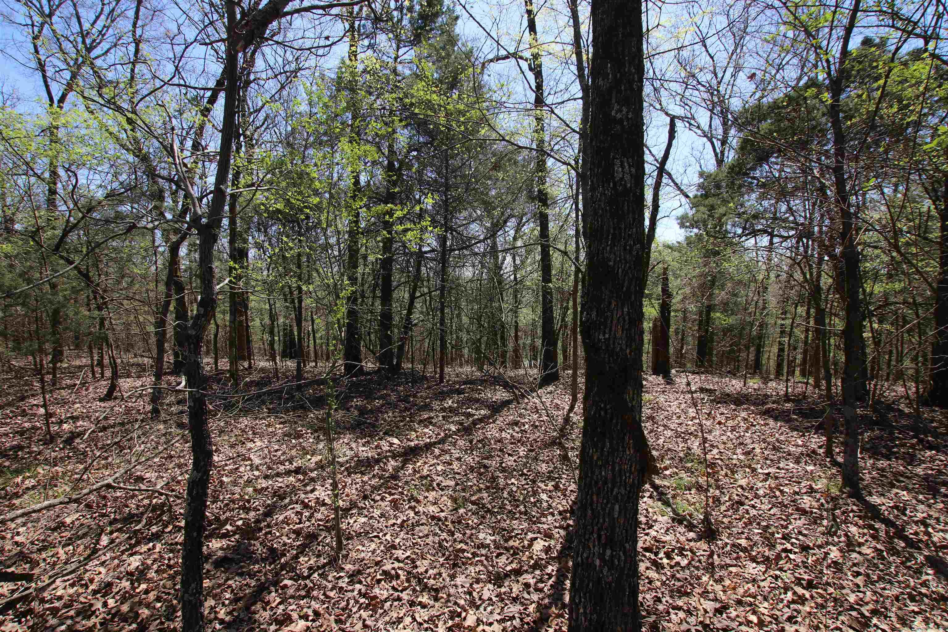 Not in Subdivision - Land