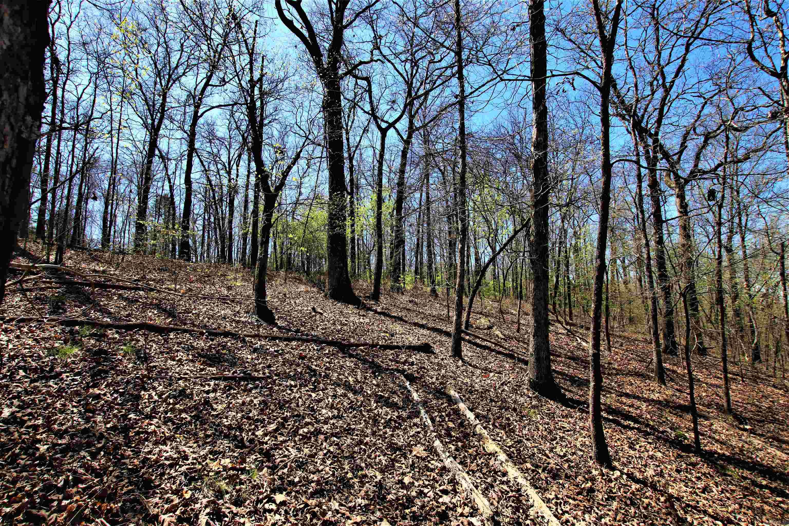 Not in Subdivision - Land