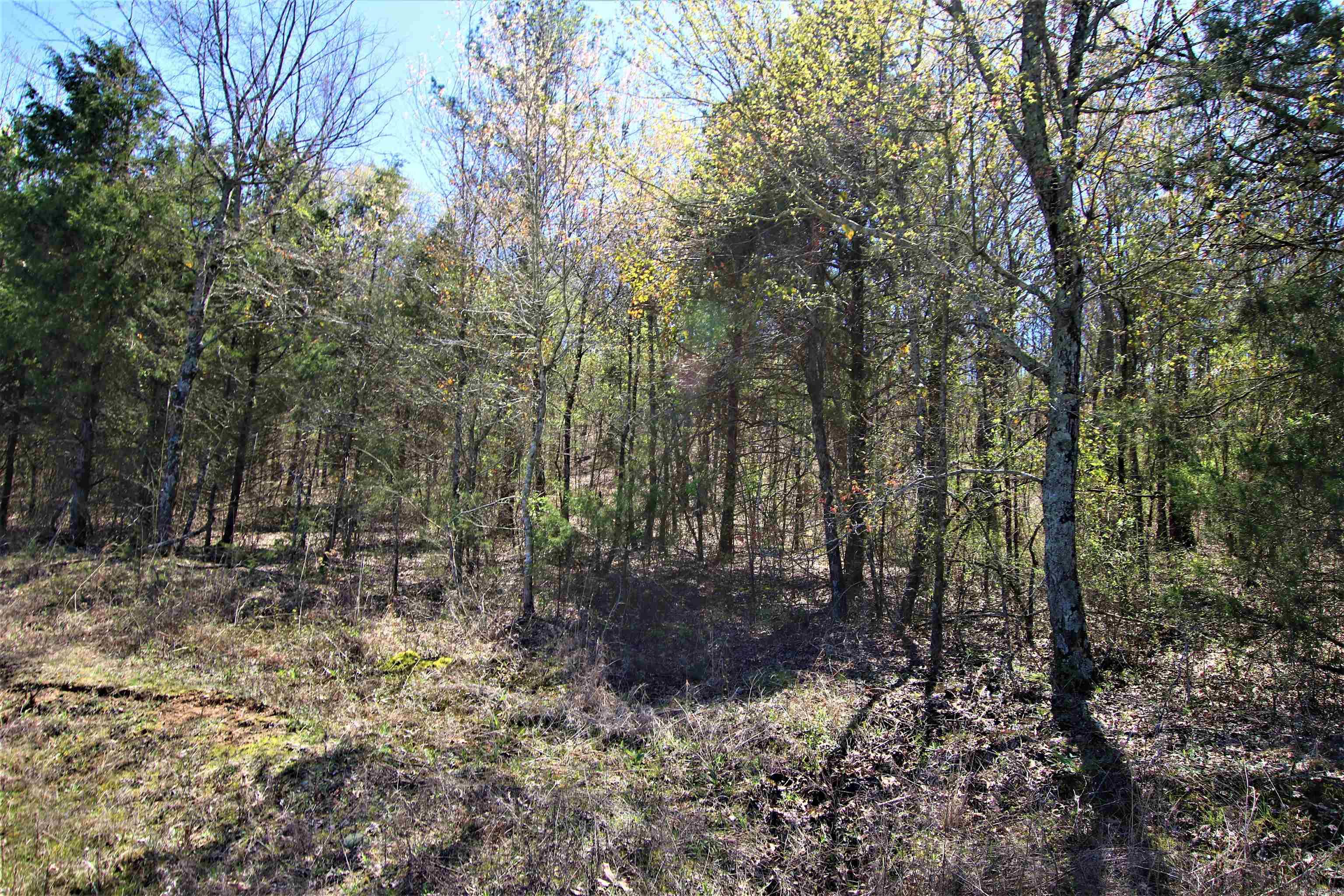 Not in Subdivision - Land