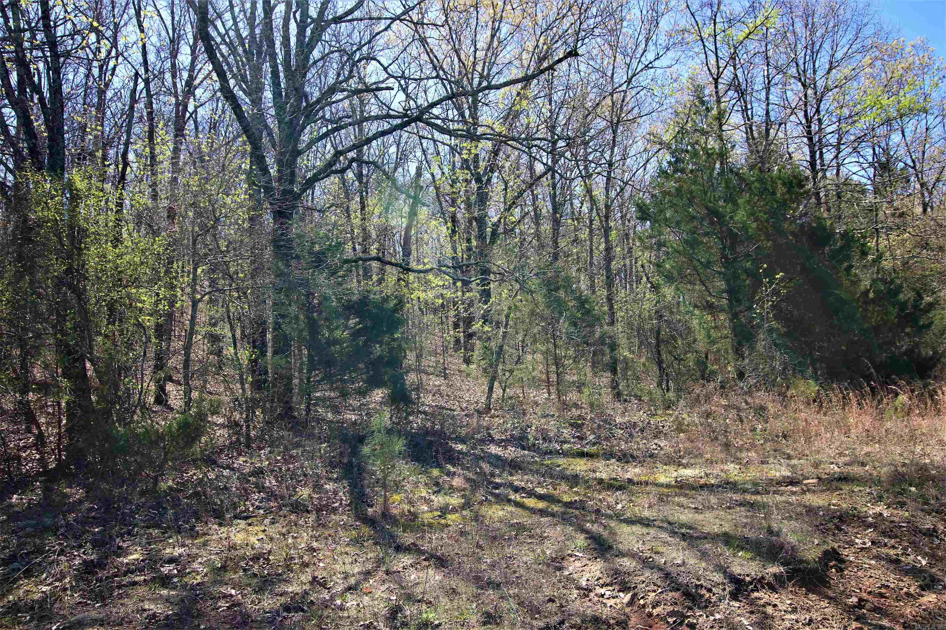 Not in Subdivision - Land