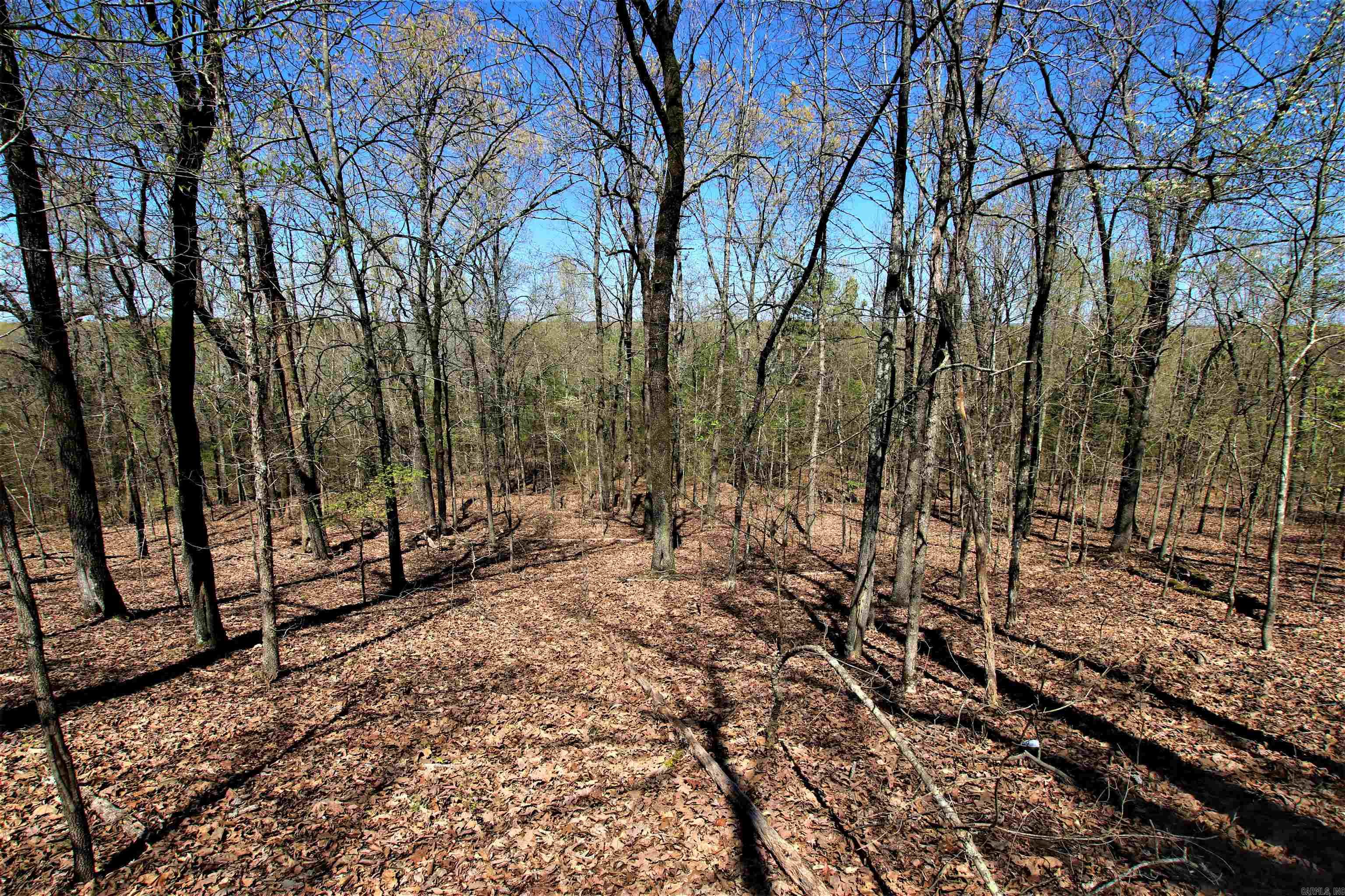 Not in Subdivision - Land