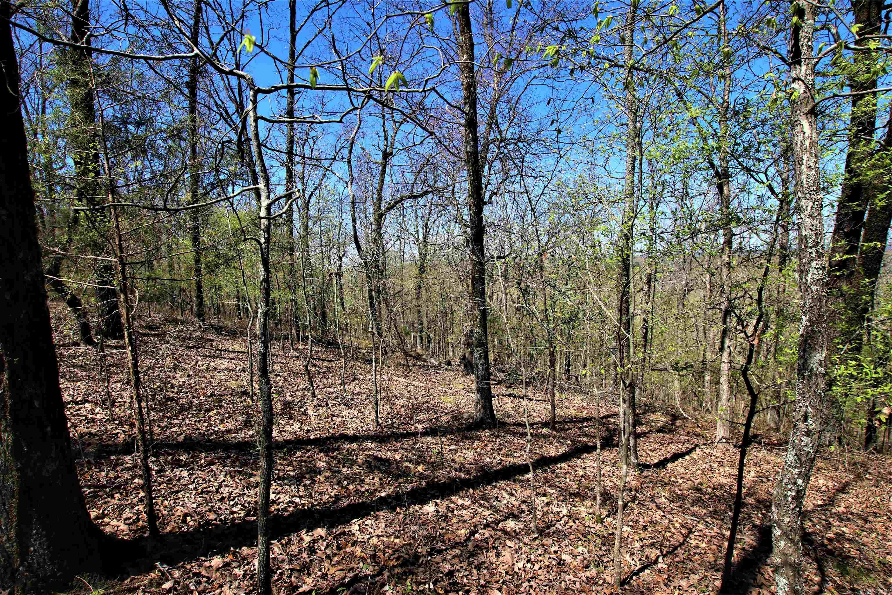 Not in Subdivision - Land