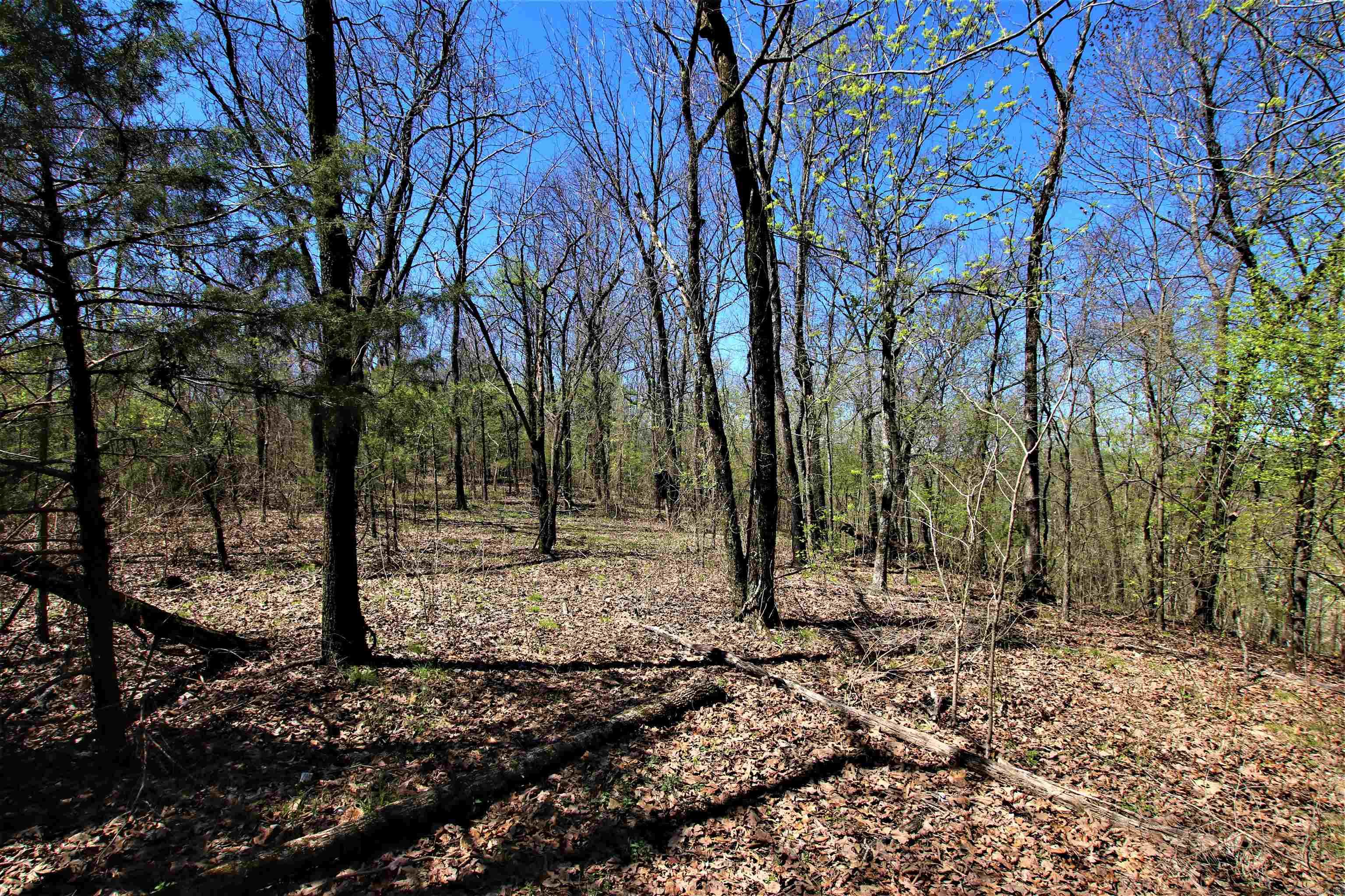 Not in Subdivision - Land