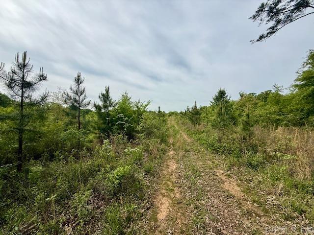 This land is ready for your home. The house location has already been cleared for you with a road cleared to the lot. You can build here or pick another location. With 5 acres you have choices. The lot is a combination of cleared land and trees. Small pond located on the property. Come take a look today! Access to the property is an easement road from Hall Drive. Part of the acreage does directly join Hall Drive but the best access is using the easement location.