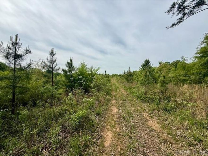 This land is ready for your home. The house location has already been cleared for you with a road cleared to the lot. You can build here or pick another location. With 5  acres you have choices. The lot is a combination of cleared land and trees. Small pond located on the property.  Come take a look today! Access to the property is an easement road from Hall Drive. Part of the acreage does directly join Hall Drive but the best access is using the easement location.