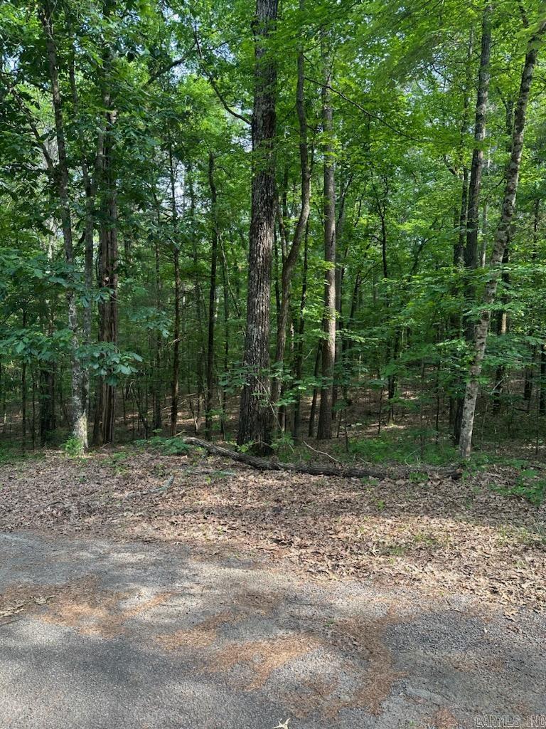 Welcome to your own slice of paradise in beautiful Fairfield Bay, Arkansas! This vacant lot offers the perfect opportunity to build your dream home in one of the most desirable locations in the state, with access to a wealth of amenities. Just minutes away from stunning Greers Ferry Lake & FFB Marina. Whether you're an avid fisherman, boater, or simply enjoy relaxing by the water, this location has something for everyone. But that's not all Fairfield Bay also offers a wide range of amenities to its residents, including 3 swimming pools, 2 18-hole golf courses, hiking and biking trails, ATV/UTV trails, pickleball and tennis courts, and a full-service marina. Whether you're looking for outdoor adventure, a friendly game of tennis, or a relaxing day by the pool, Fairfield Bay has you covered. The lot itself is generously sized and offers plenty of room for your custom-built home, as well as any additional amenities you desire. With easy access to utilities and services, including water, sewer, and electricity, you'll have everything you need to make your dream a reality. Buyers to pay all closing costs and title insurance.