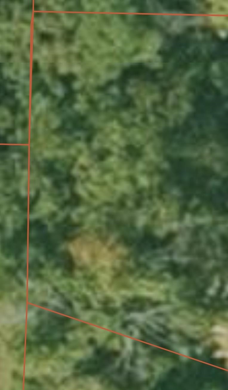 HURRICANE GARDENS - Land