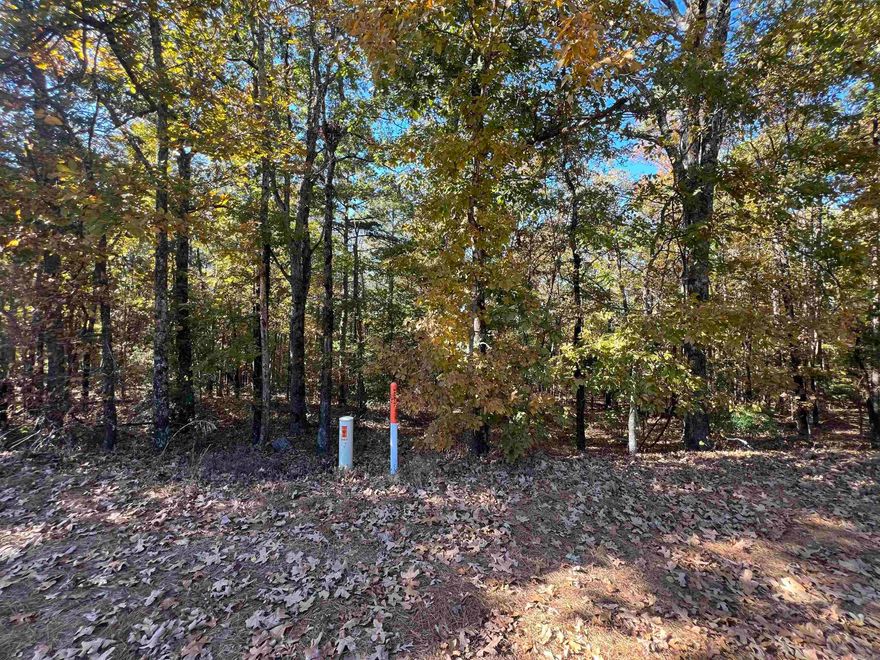 Perfect place to build a home, nice wooded and close to town. Get this before its gone !!