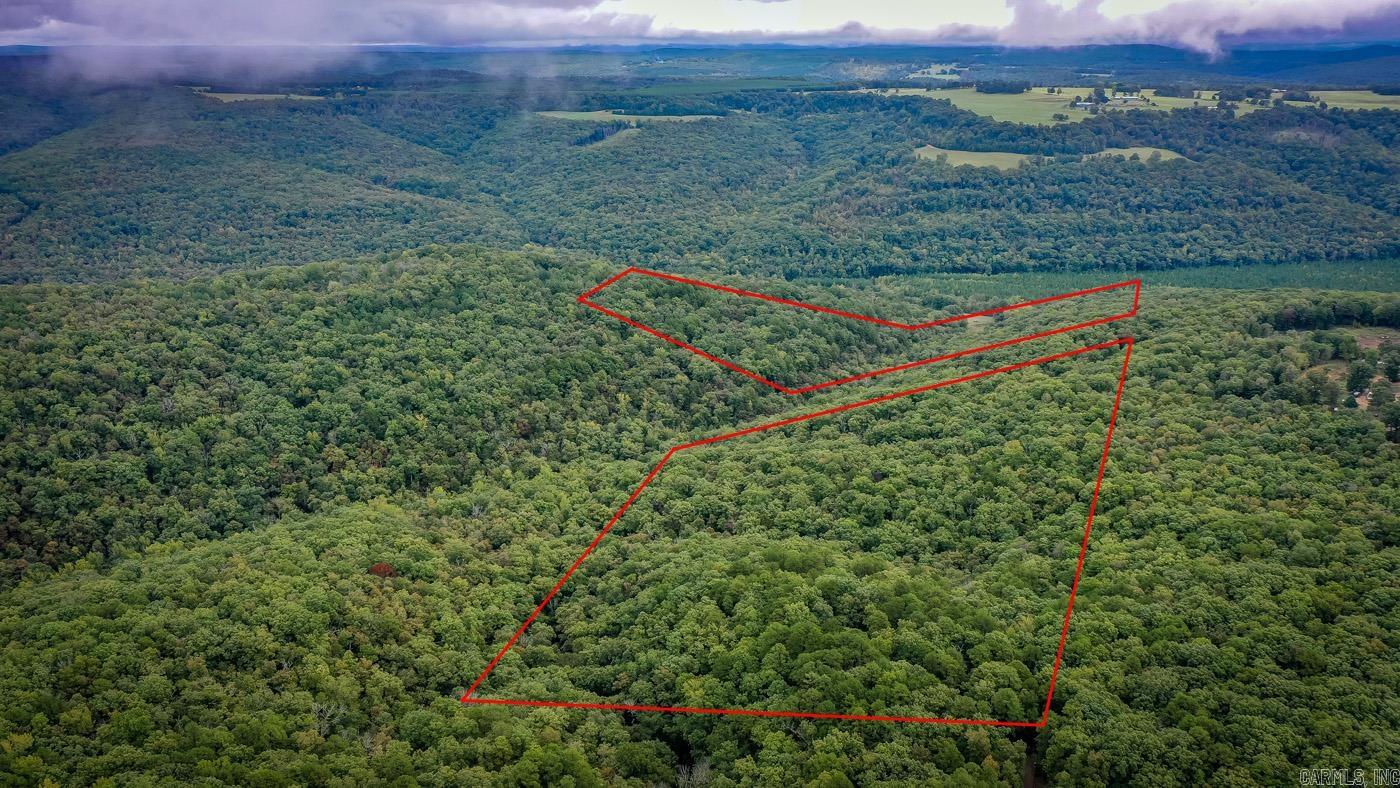 50 acres of hunting land w/ a power meter on site and city water at the road. This property has approximately an acre of cleared land, perfect for setting up a camper, or building a home. Mountain views are in the background, with some clearing. Ride the trail to the creek and enjoy nature. Close to Greers Ferry Lake & the Buffalo River. See agent remarks.