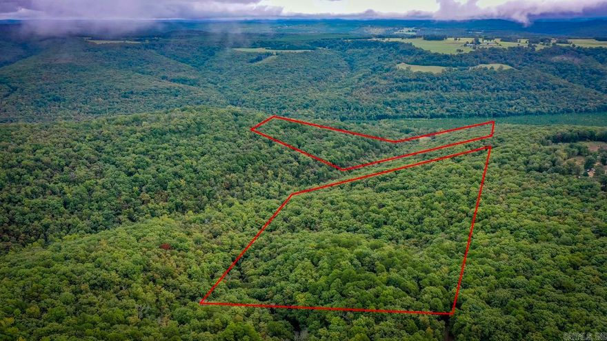 50 acres of hunting land w/ a power meter on site and city water at the road. This property has approximately an acre of cleared land, perfect for setting up a camper, or building a home. Mountain views are in the background, with some clearing. Ride the trail to the creek and enjoy nature. Close to Greers Ferry Lake & the Buffalo River. See agent remarks.