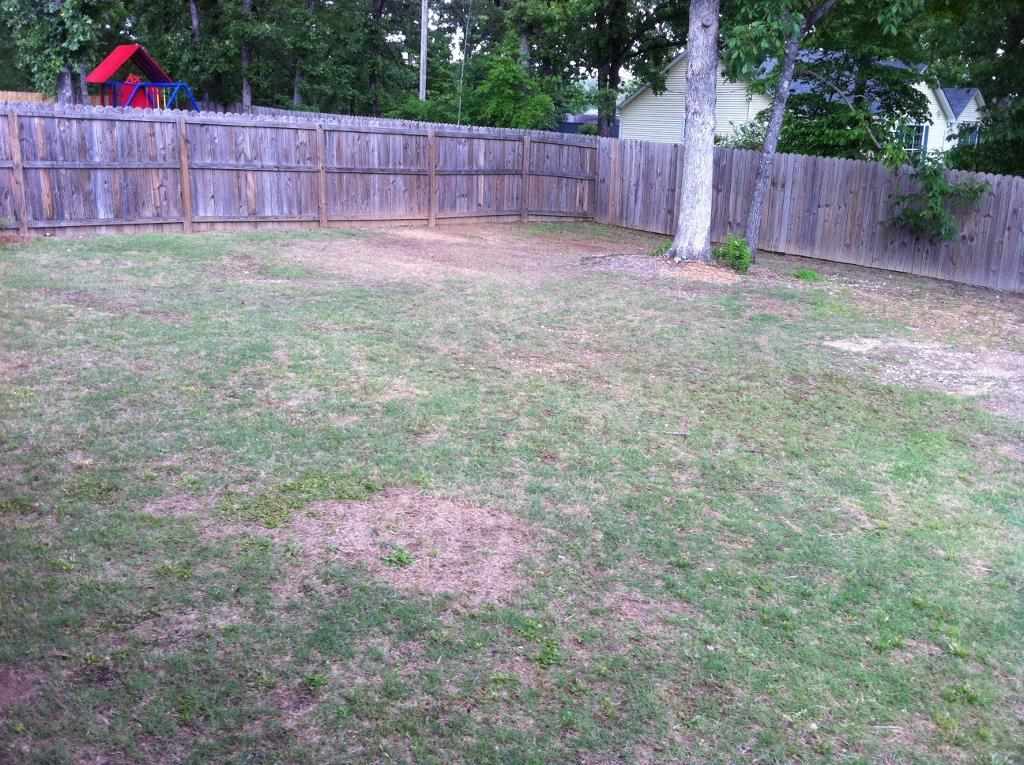 The Maples - Residential