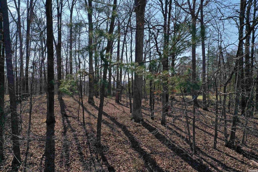 This 50. acre wooded lot is the perfect size to build the home of your dreams. The lot is within walking distance to #1 tee box and a nice buffer of land lies between it & the driving range of a PGA sanctioned 18-hole golf course. It is conveniently located to all the amenities the Diamondhead community has to offer such as an Olympic sized swimming pool, playground, country club, The 19th Hole restaurant, pavilion, basketball and tennis courts.