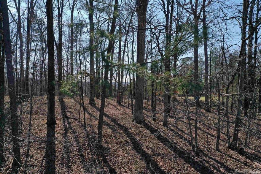 This 50. acre wooded lot is the perfect size to build the home of your dreams. The lot is within walking distance to #1 tee box and a nice buffer of land lies between it & the driving range of a PGA sanctioned 18-hole golf course. It is conveniently located to all the amenities the Diamondhead community has to offer such as an Olympic sized swimming pool, playground, country club, The 19th Hole restaurant, pavilion, basketball and tennis courts.