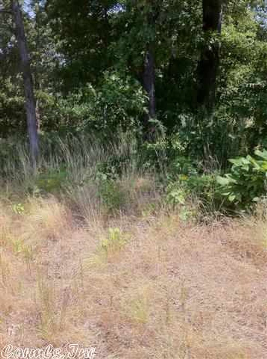 Owner financing available! Country living with city convience. LSSD! 19 lots to choose from. All city utilities. Mobile homes welcome. Prices range from $12,500 to $18,000.