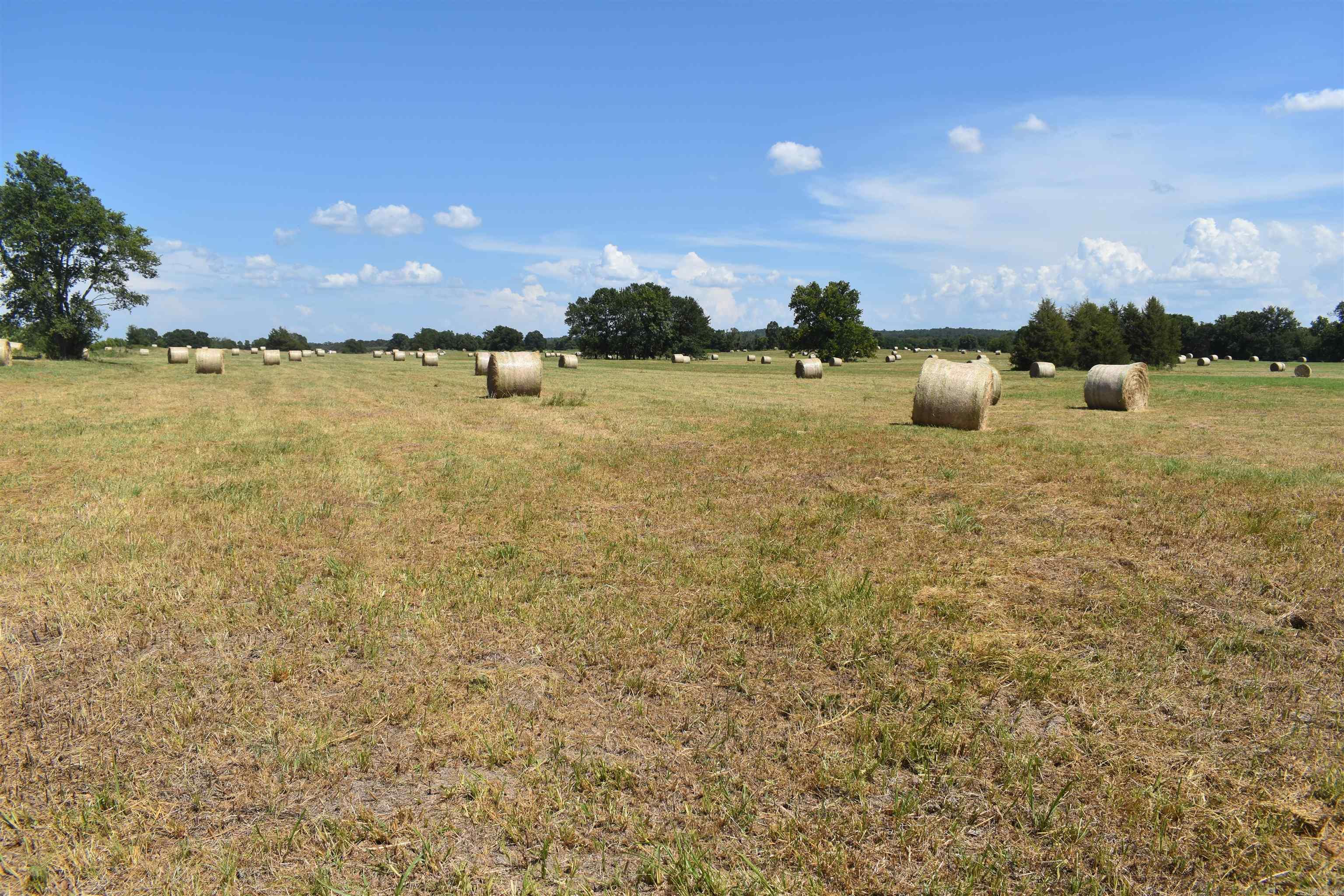 Metes & Bounds - Farm